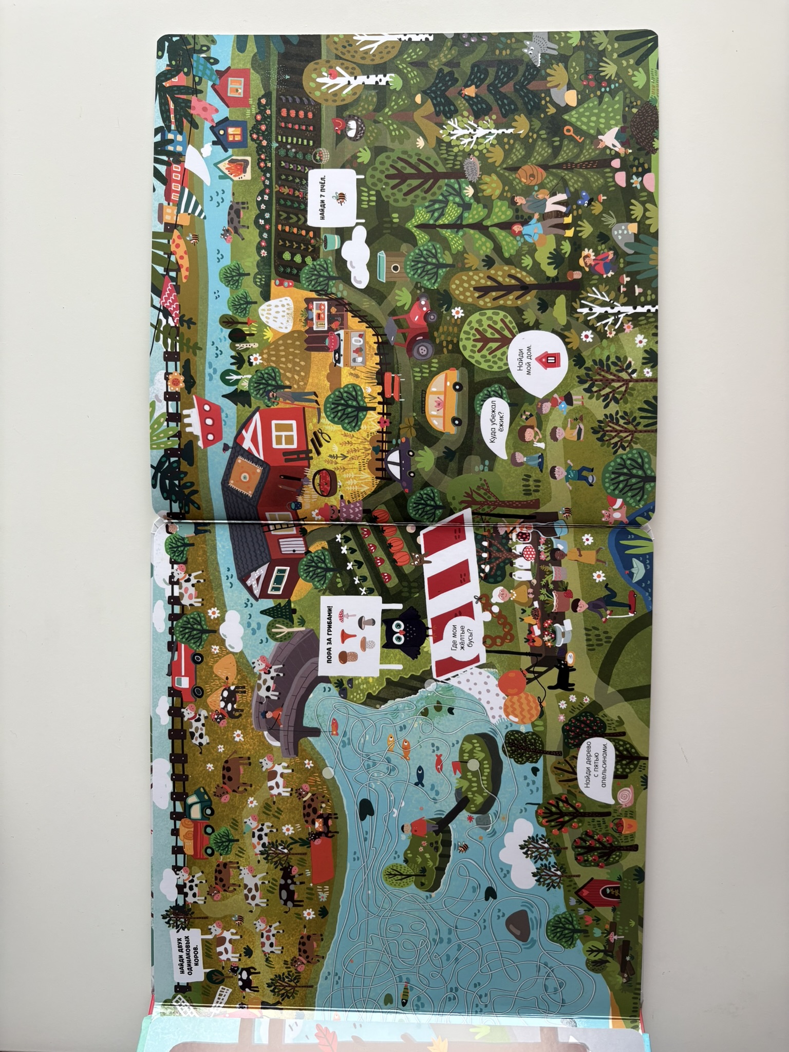 Гигантская книга найди и покажи