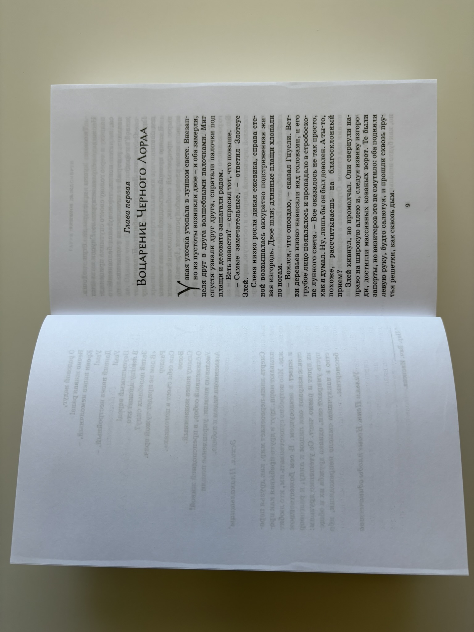 Гарри Поттер и Дары Смерти