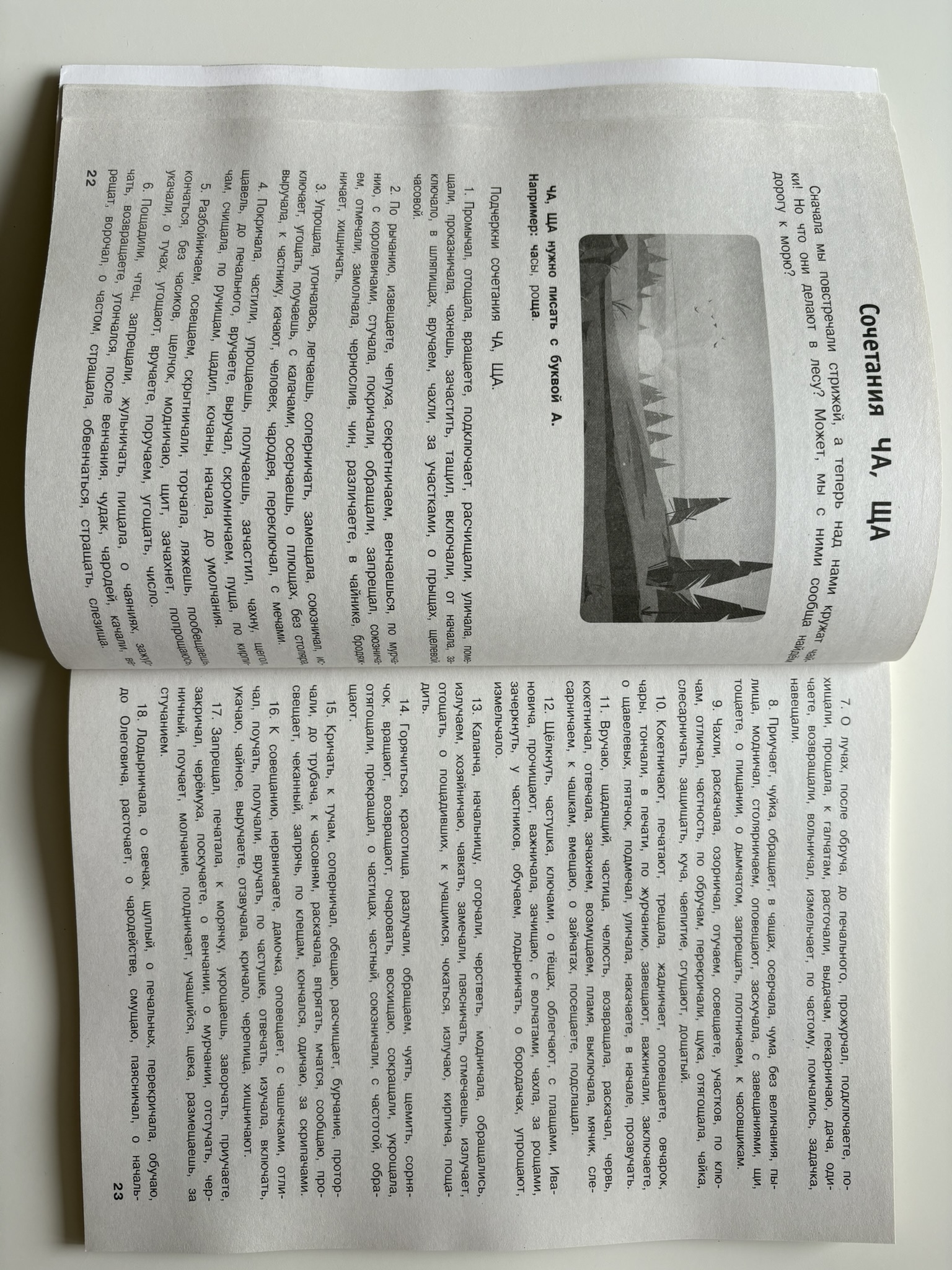 Русский язык. Тренировочные задания. 3 класс