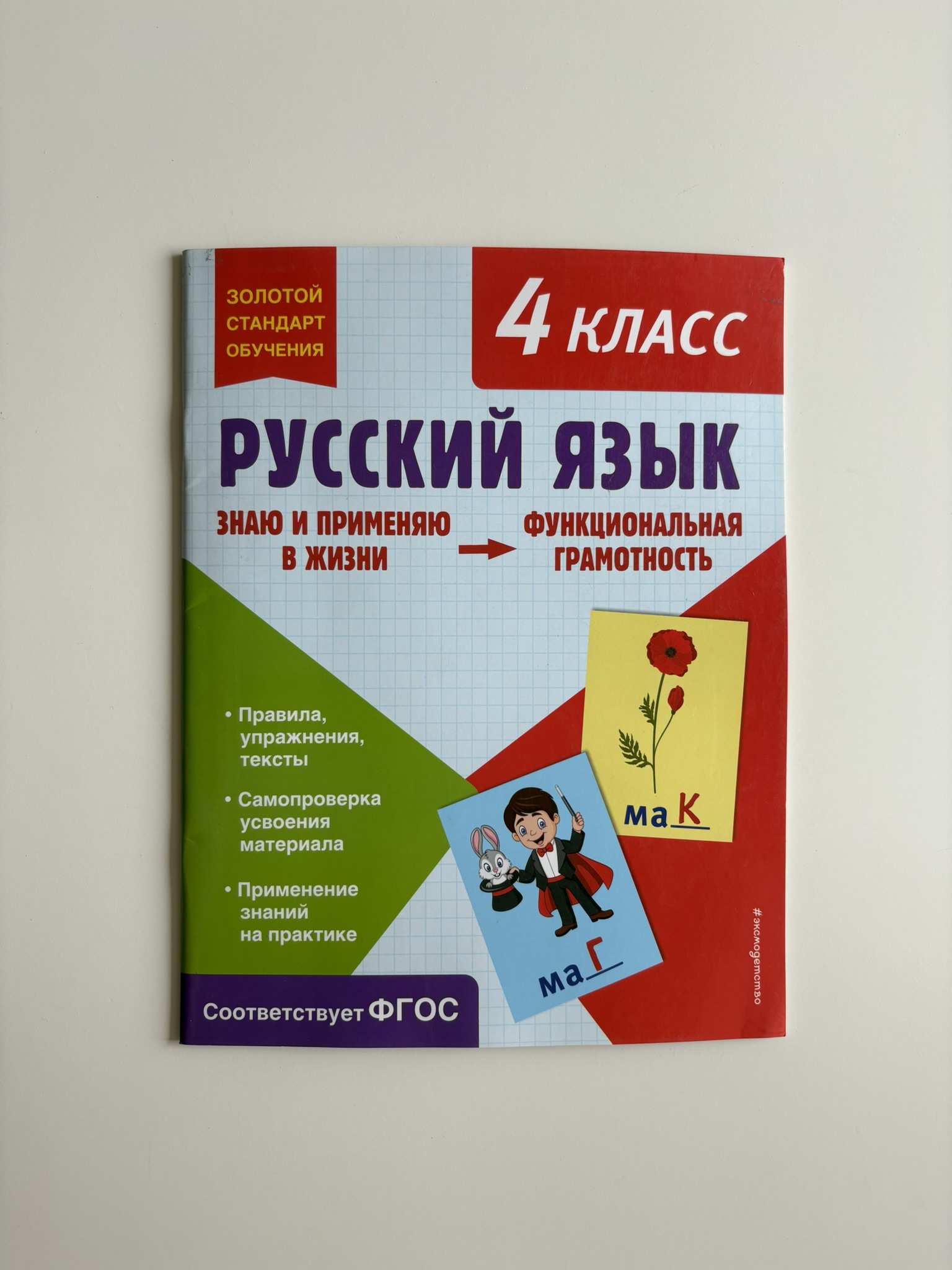 Русский язык. Функциональная грамотность. 4 класс