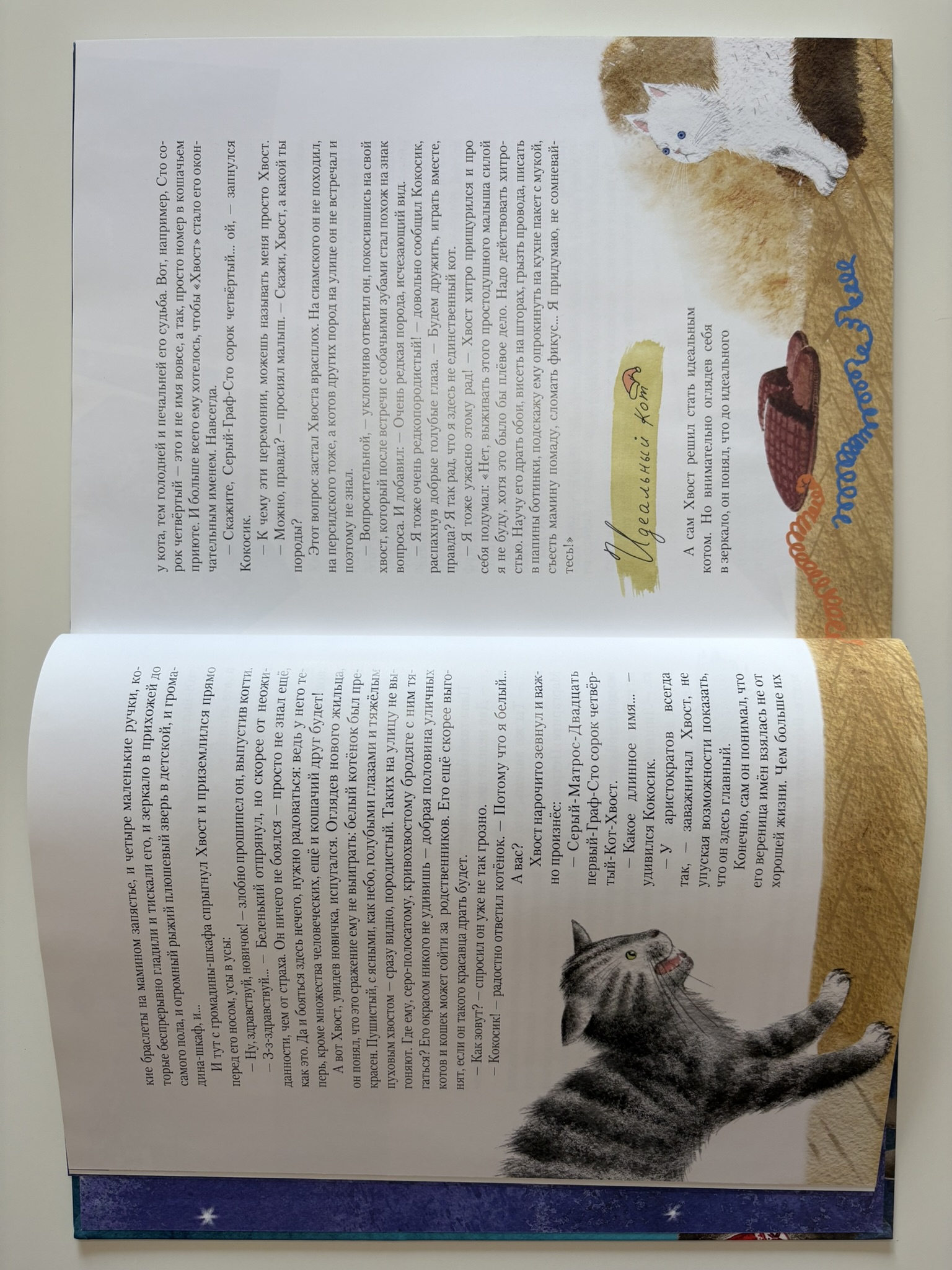 Котофеи. Все новогодние истории