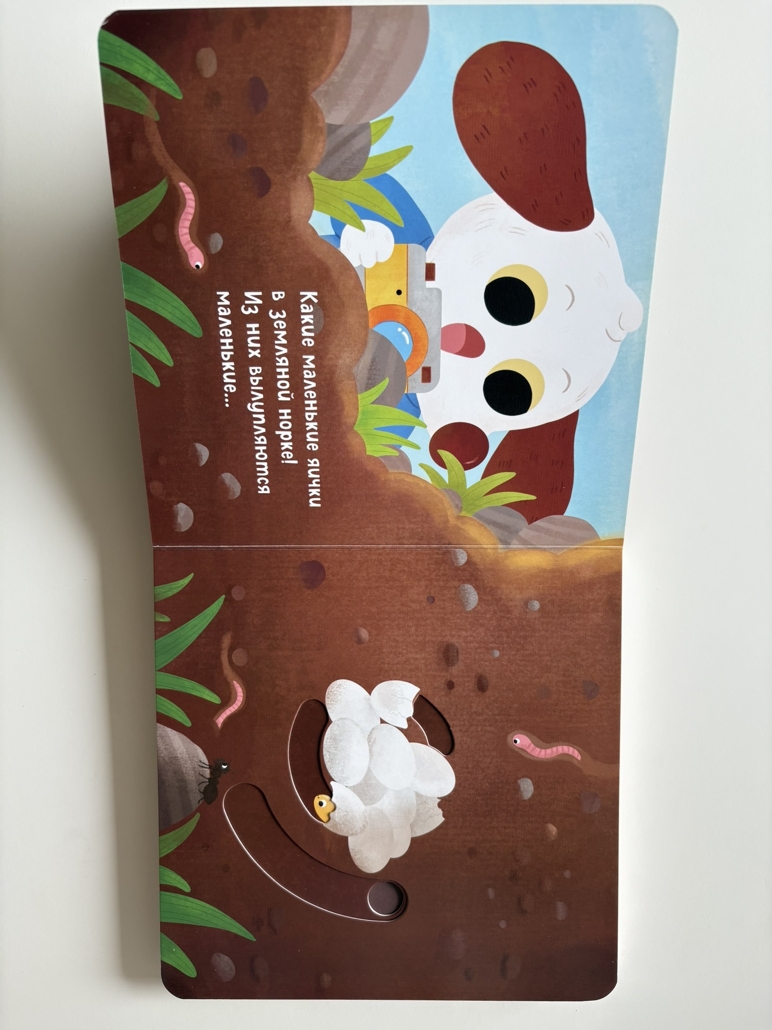 Угадай, кто в яичке