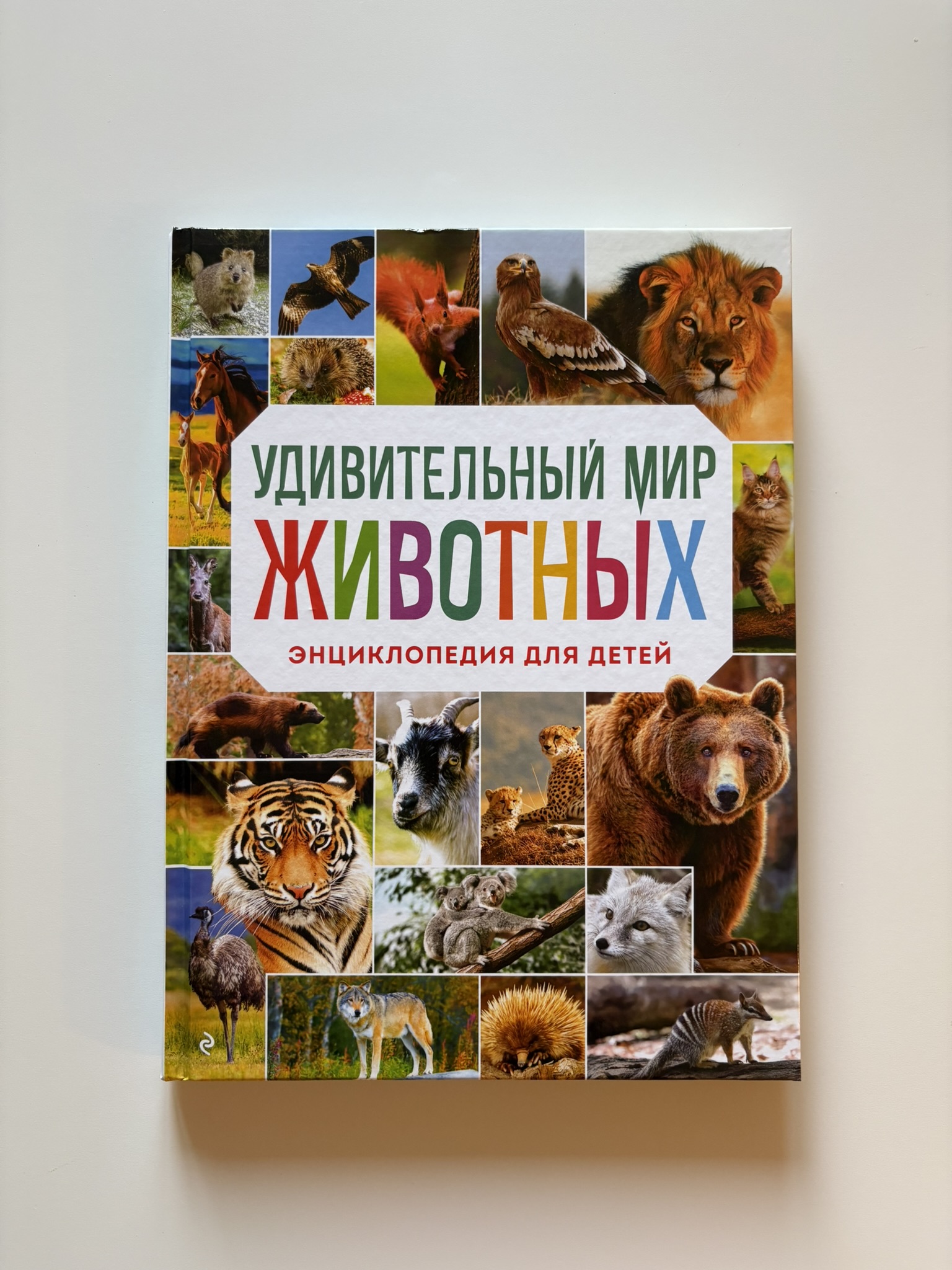 Удивительный мир животных. Энциклопедия для детей