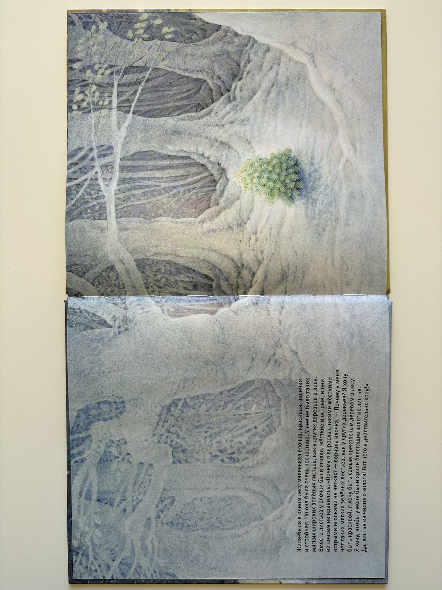 Маленькая ёлочка