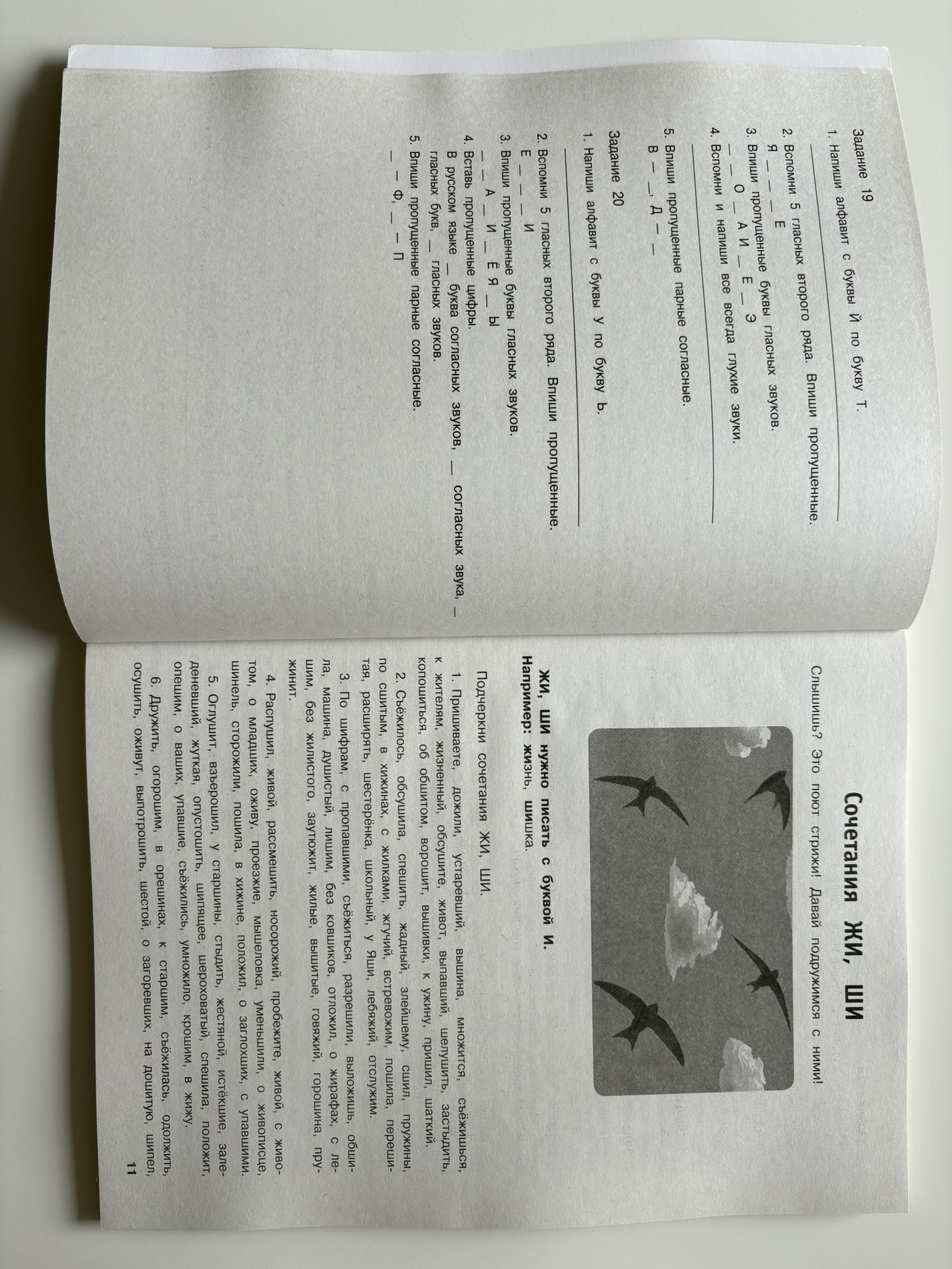 Русский язык. Тренировочные задания. 3 класс