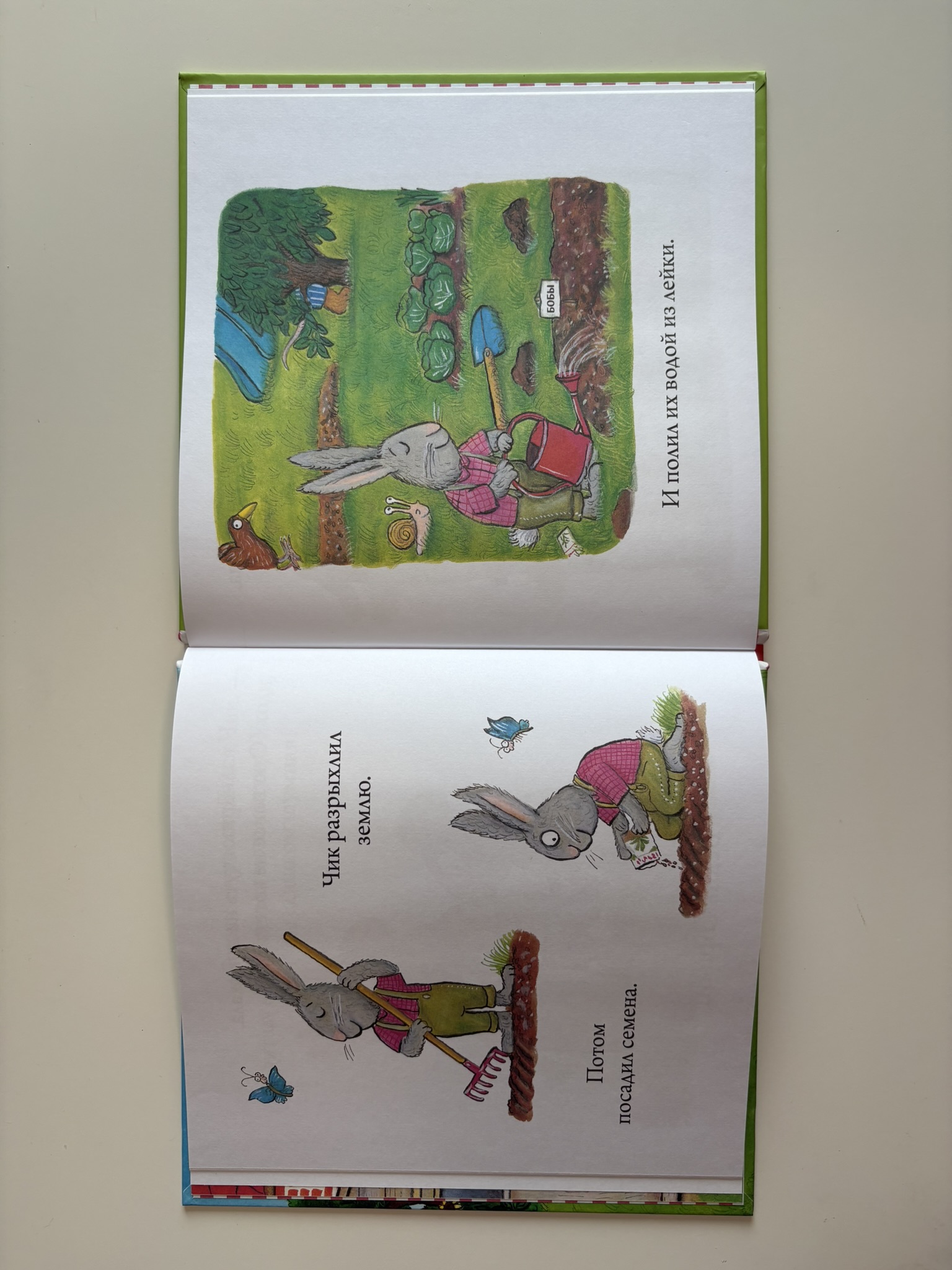 Чик и Брики. Пугливая улитка