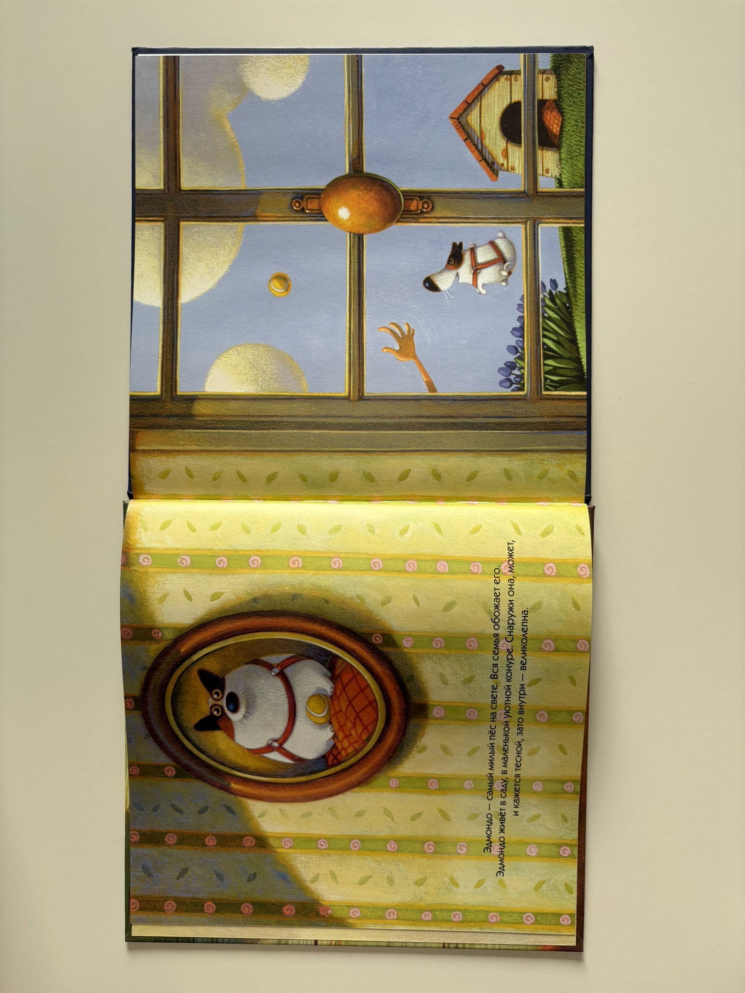 Эдмондо и его конура