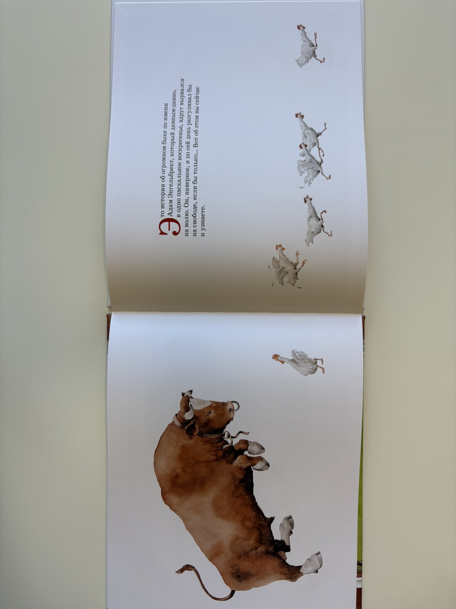 Как Адам Энгельбрект разбушевался