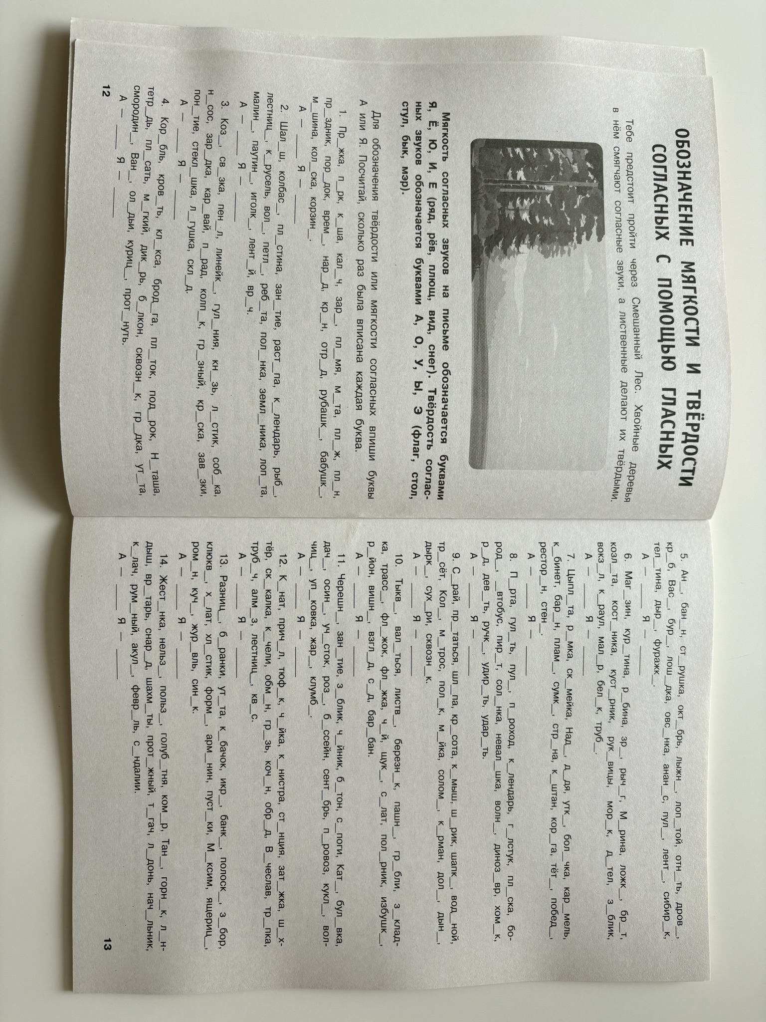 Русский язык. Тренировочные задания. 1 класс