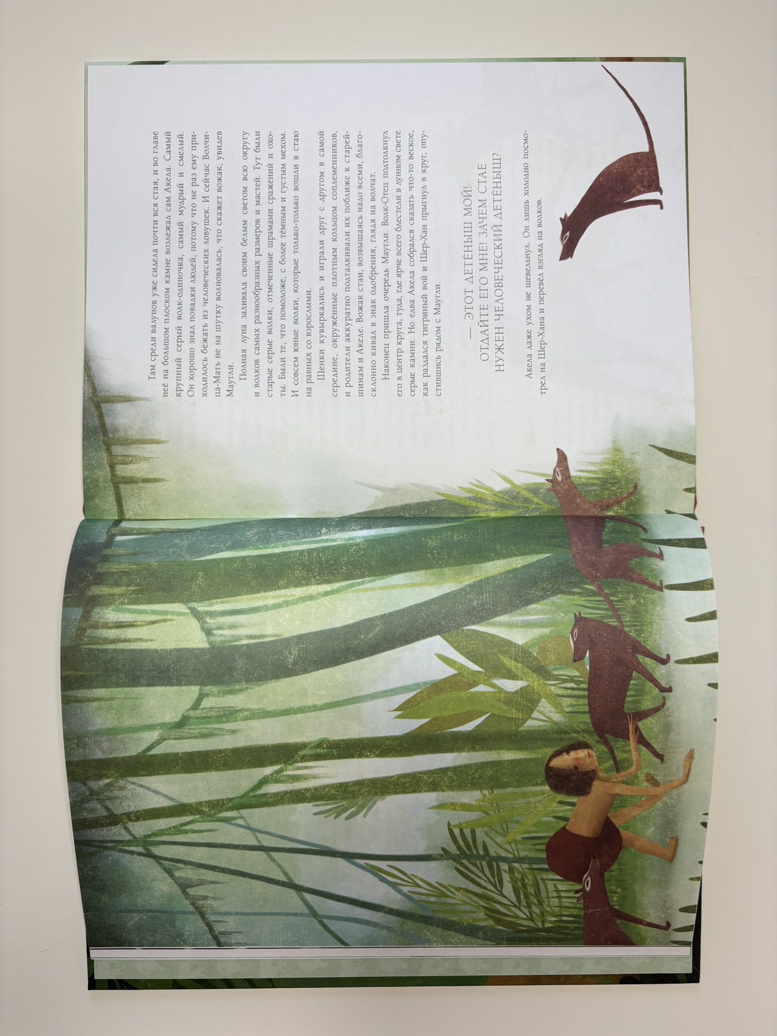 Книга джунглей. Маугли