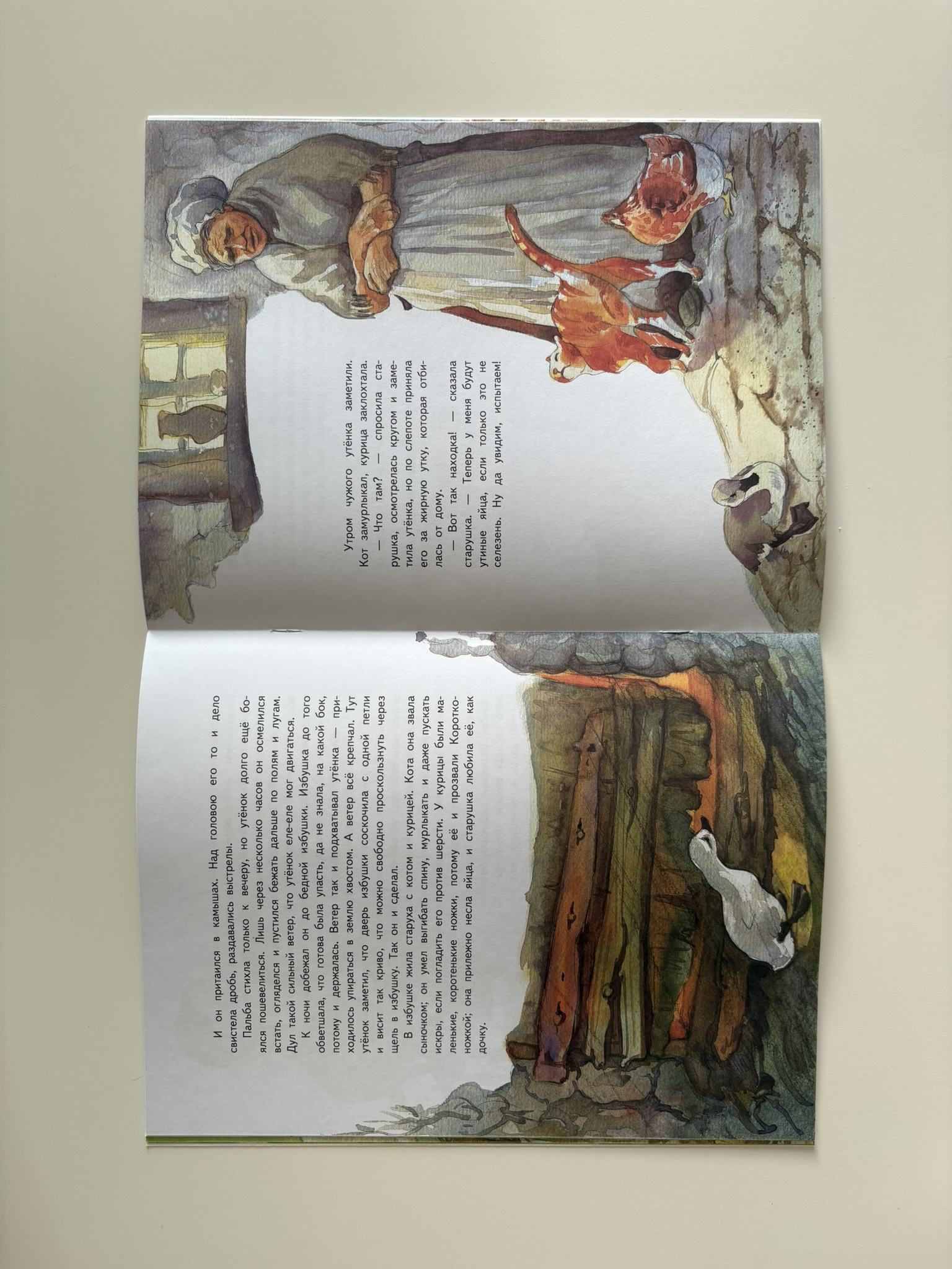 Гадкий утенок