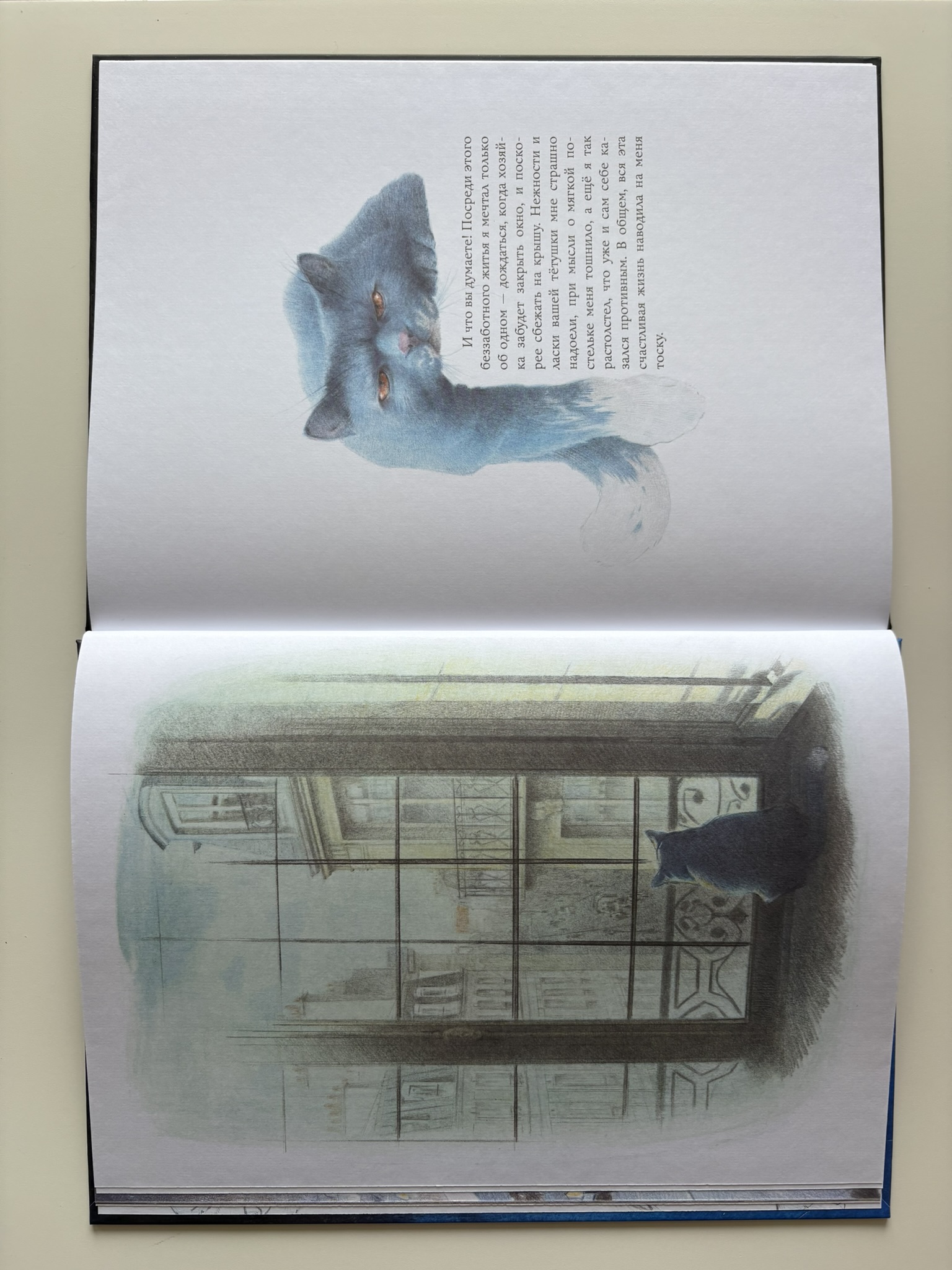 Кошачий рай