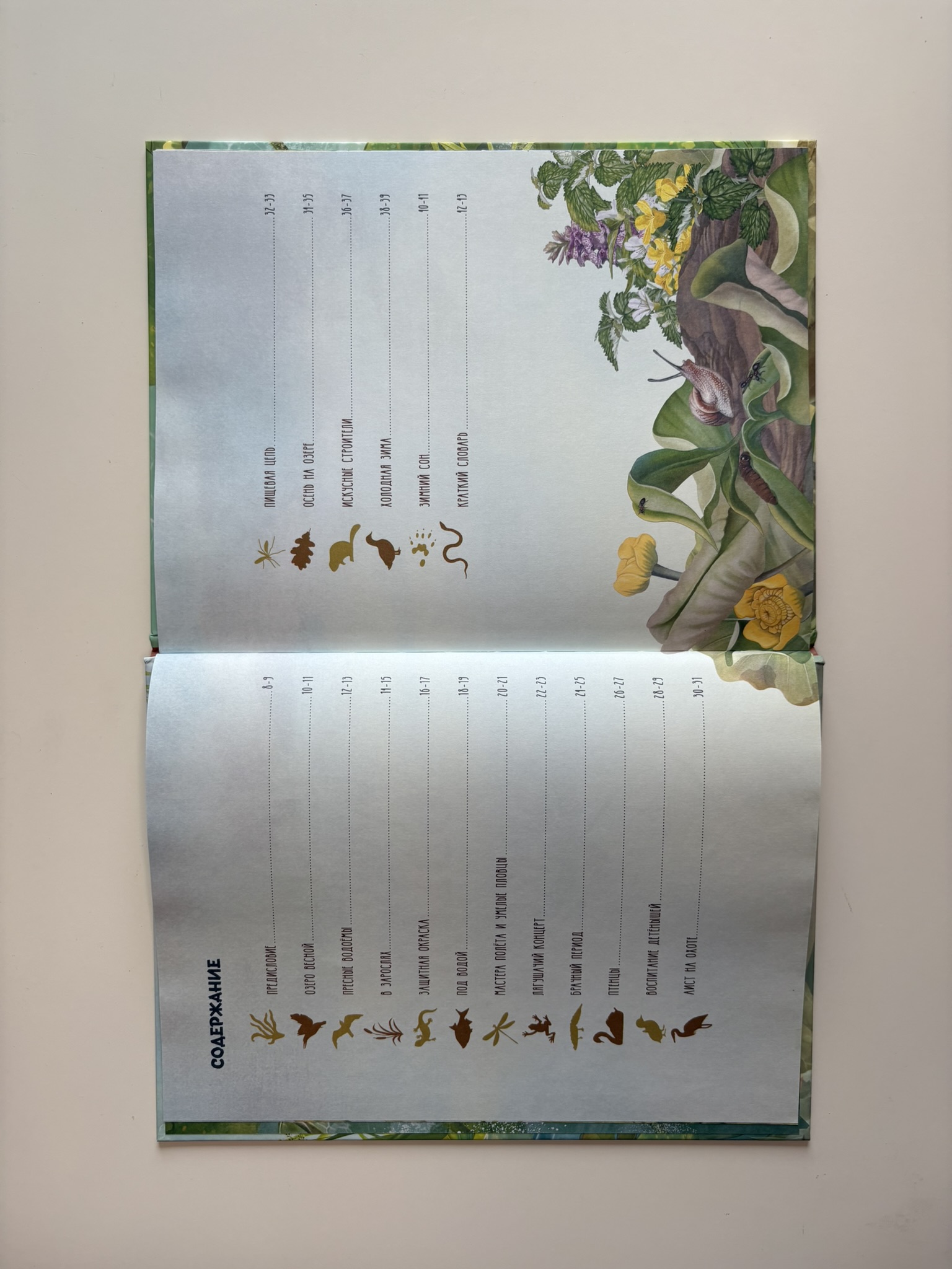 Секреты животных озера