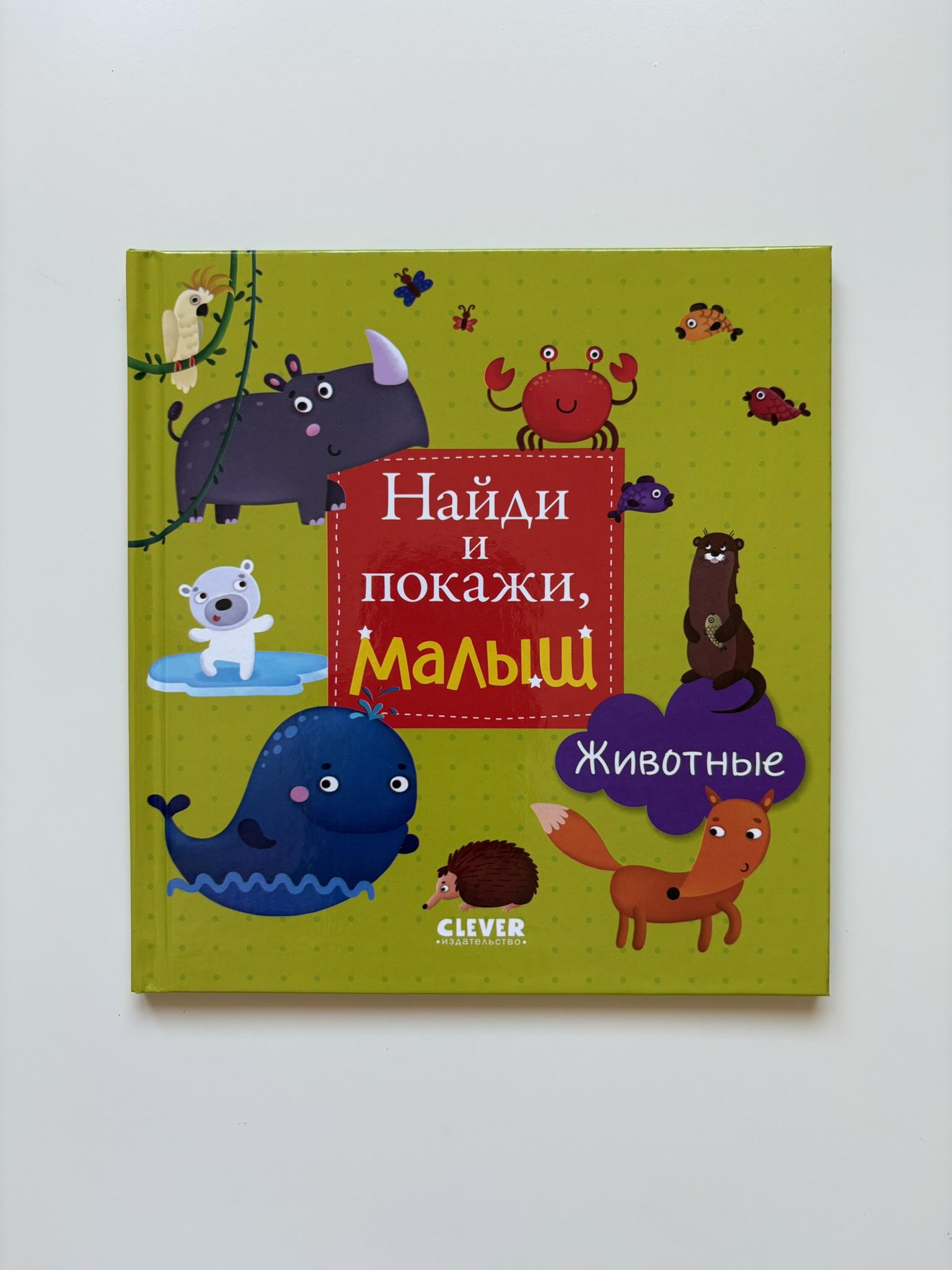 Найди и покажи, малыш. Животные