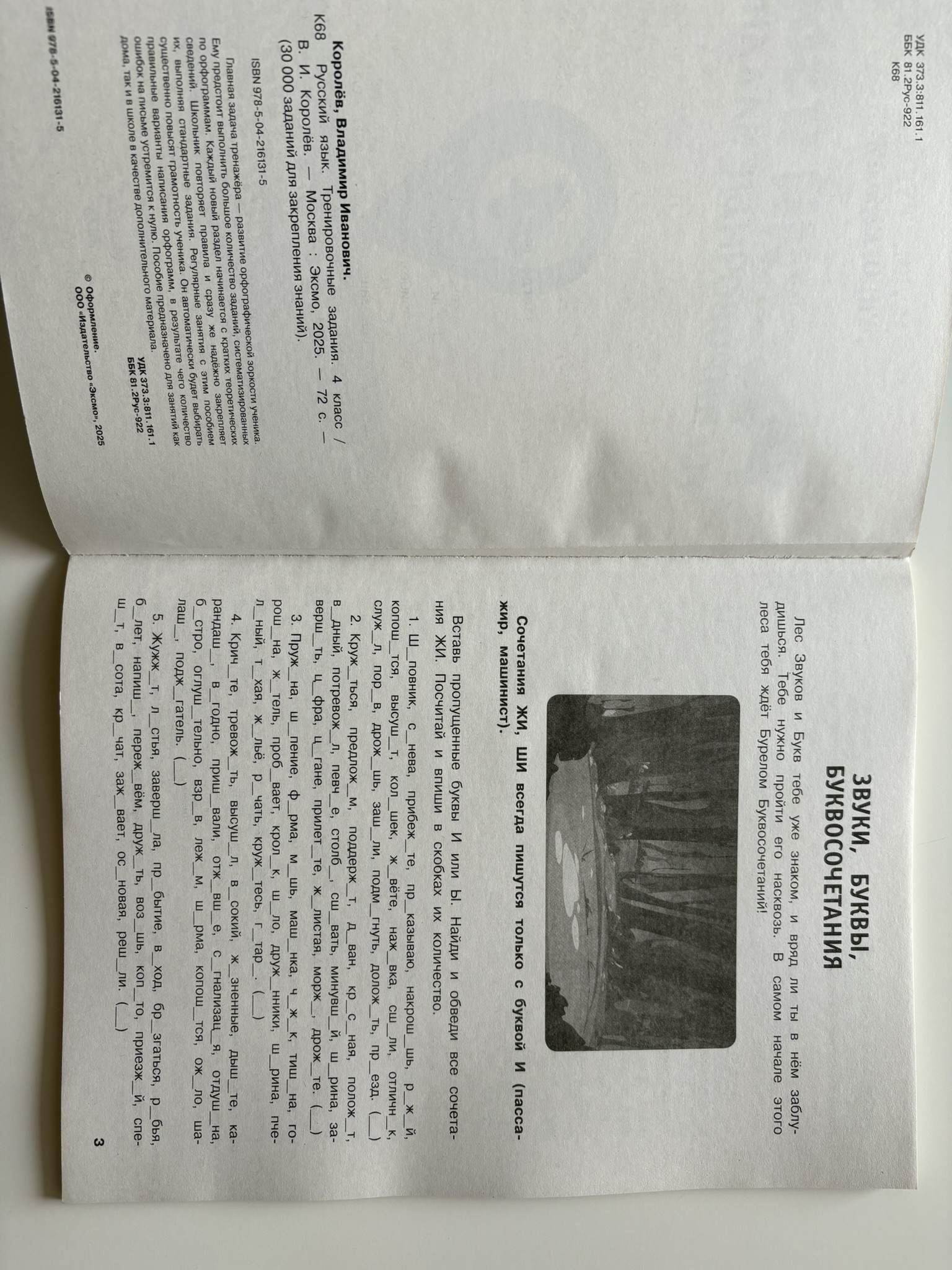 Русский язык. Тренировочные задания. 4 класс