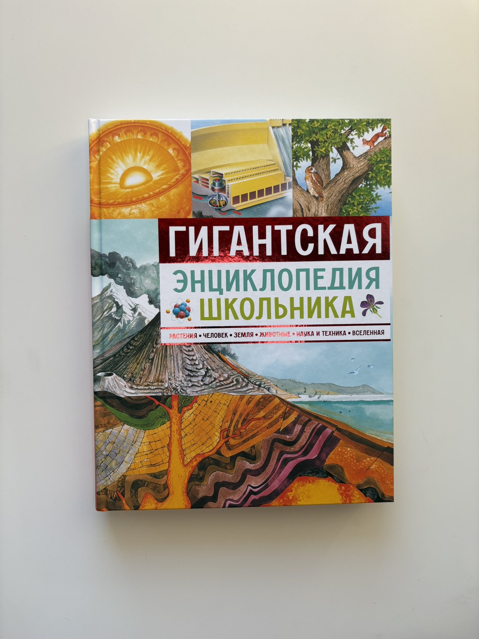 Гигантская энциклопедия школьника