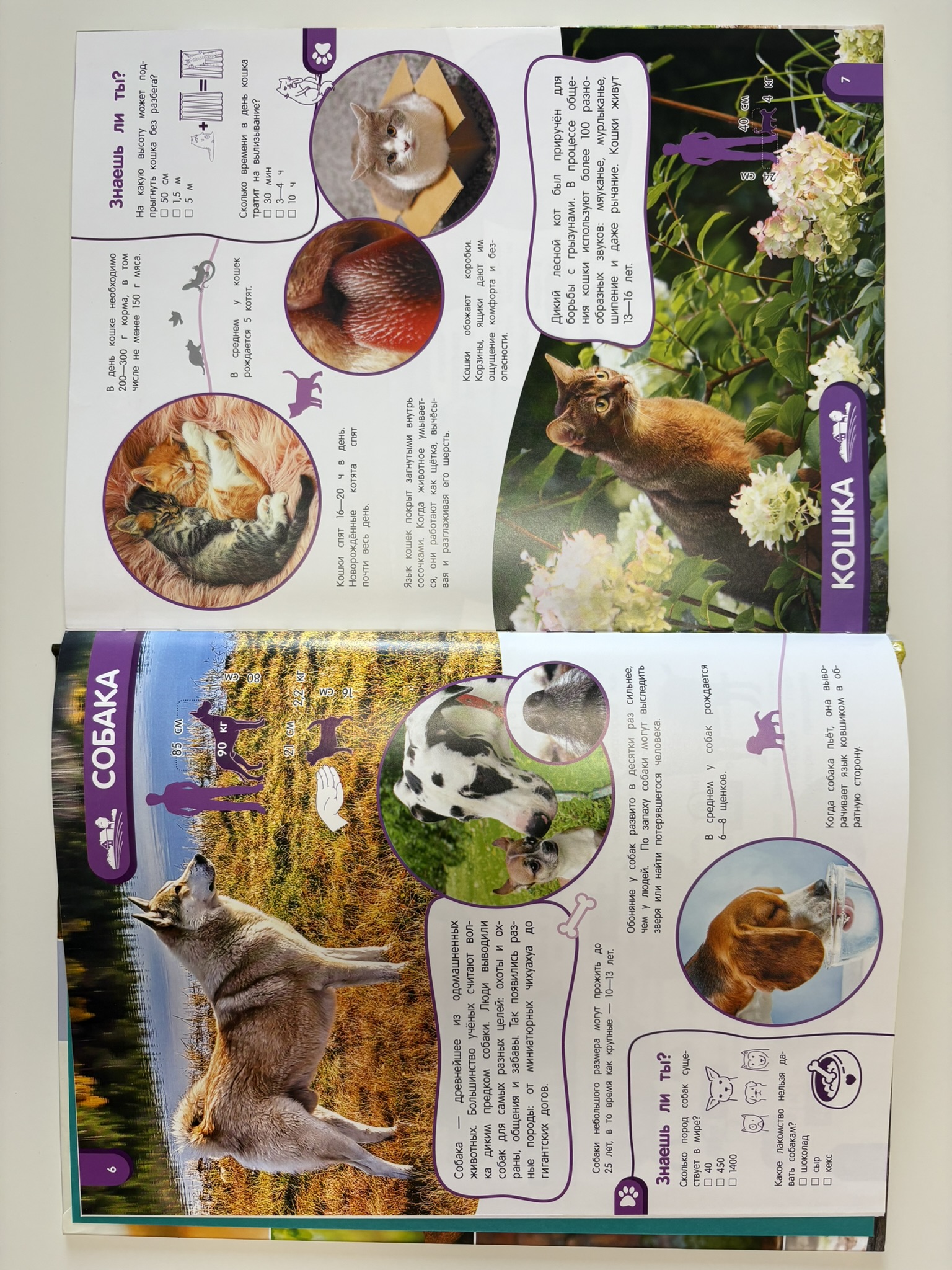 Удивительный мир животных. Энциклопедия для детей