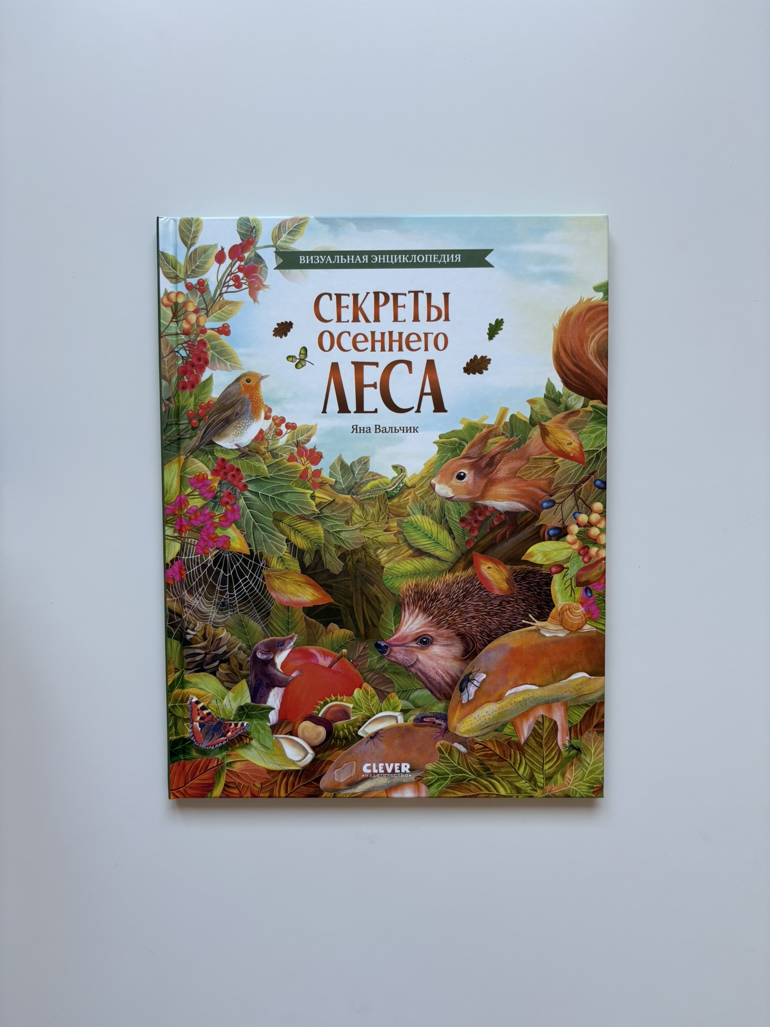 Секреты осеннего леса. Визуальная энциклопедия
