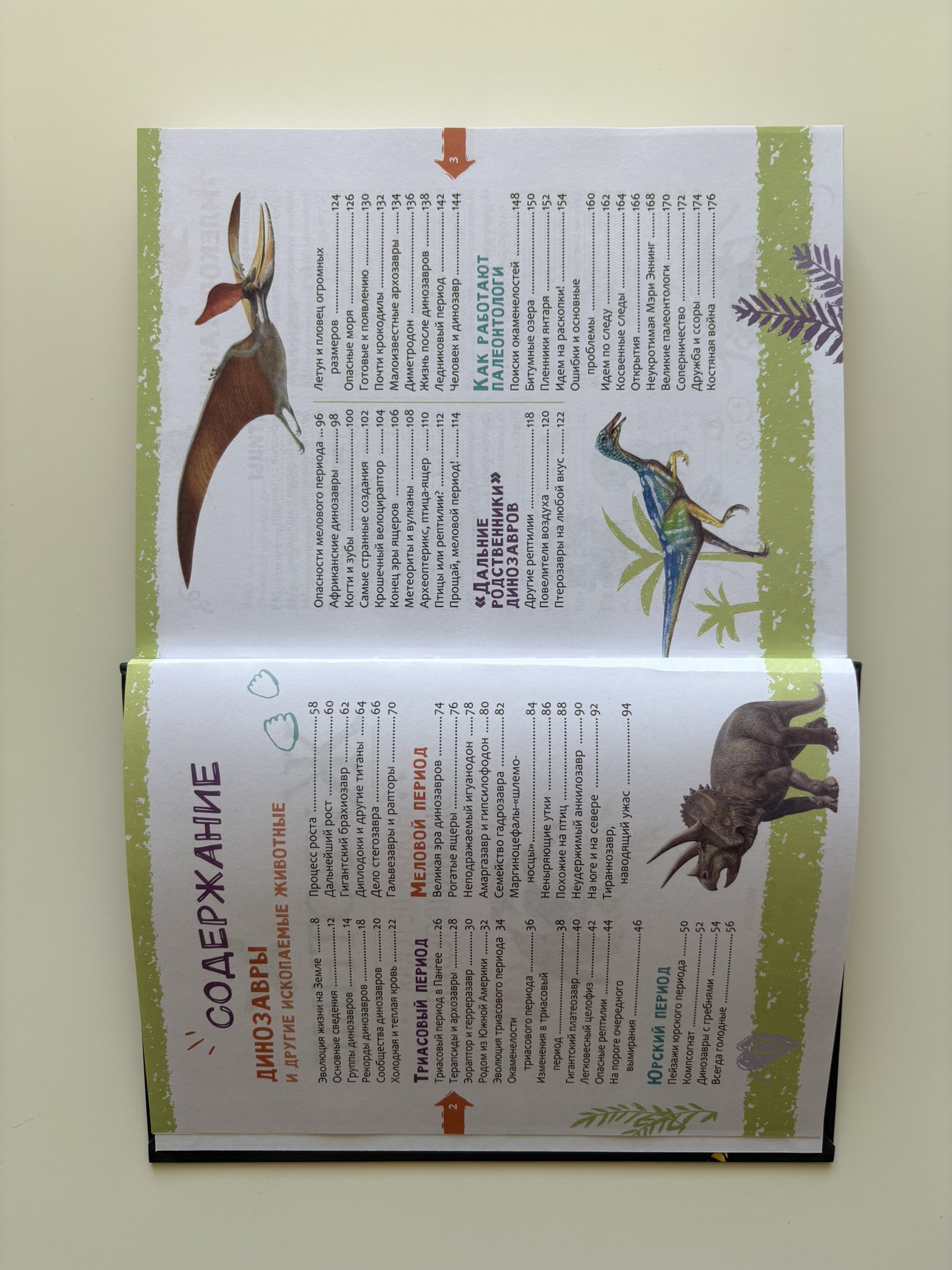 Животные. Новая детская энциклопедия