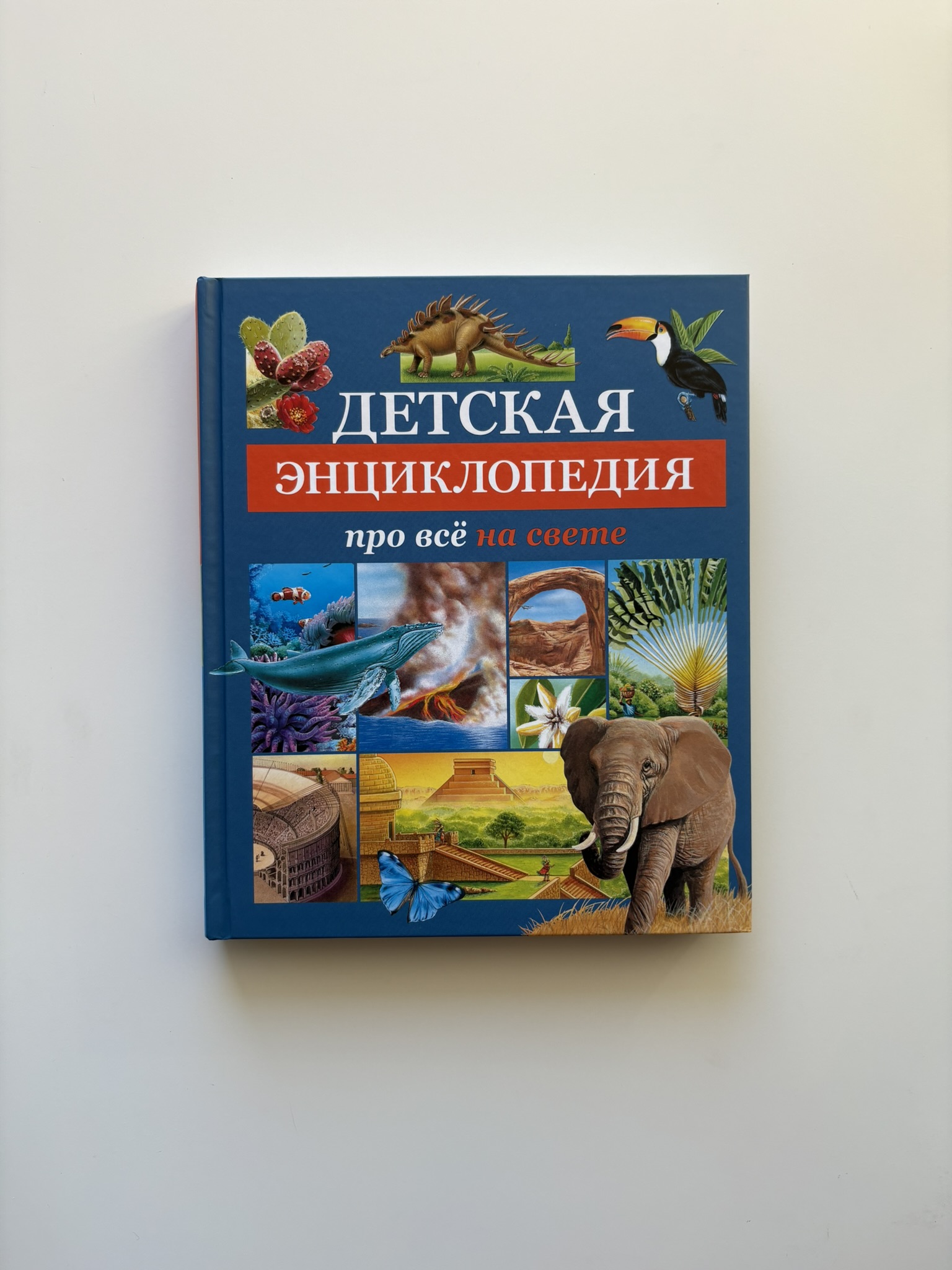 Детская энциклопедия про всё на свете