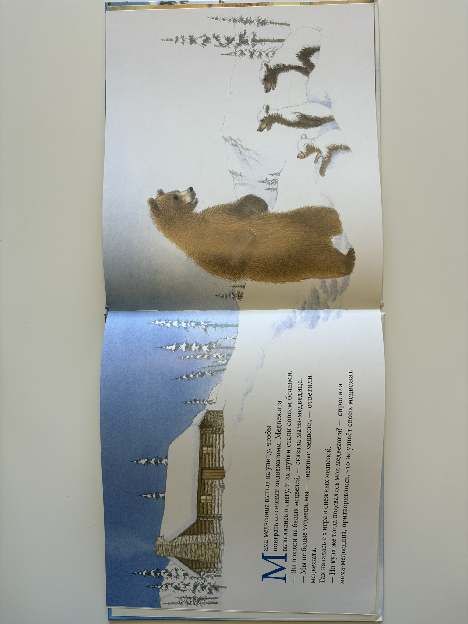 Снежные медведи