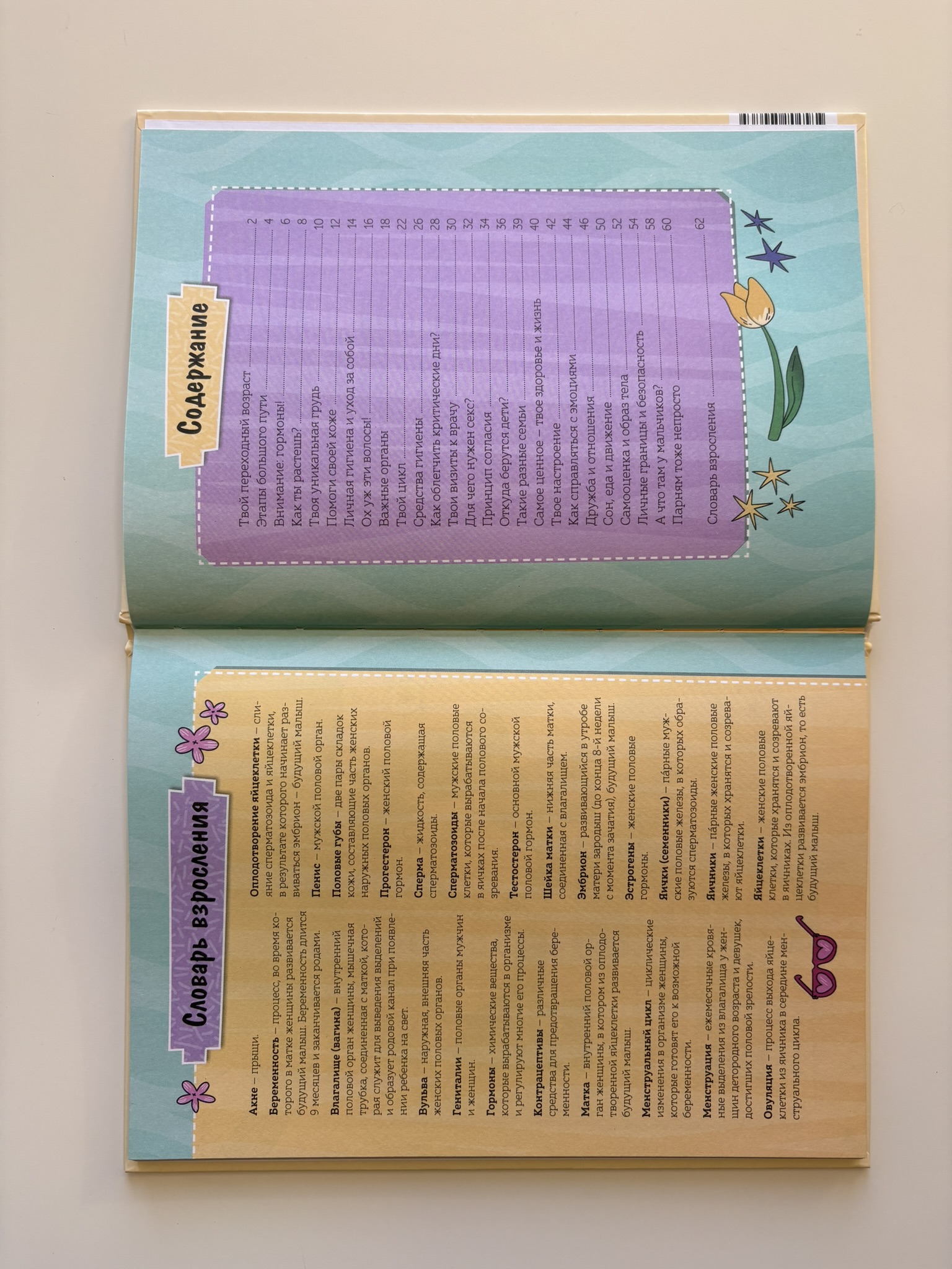 Девочки взрослеют. Как меняется тело и настроение