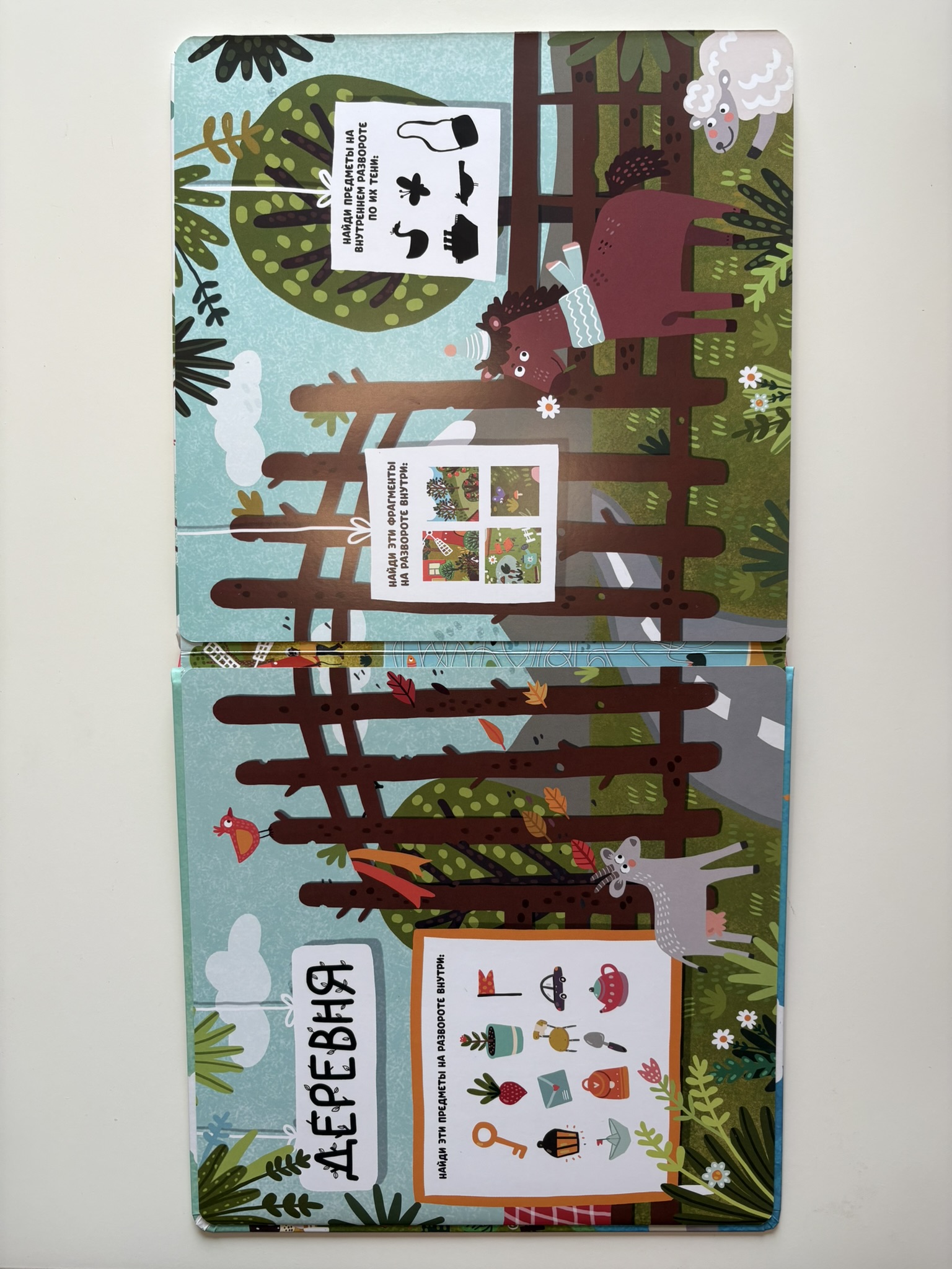 Гигантская книга найди и покажи