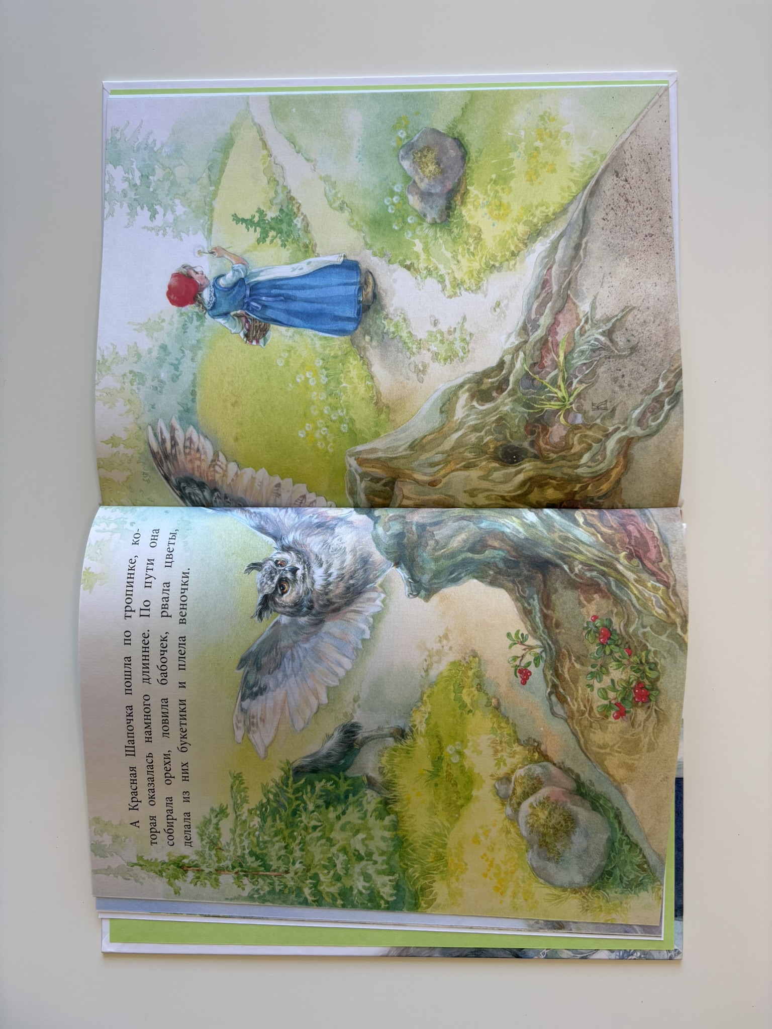 Красная Шапочка