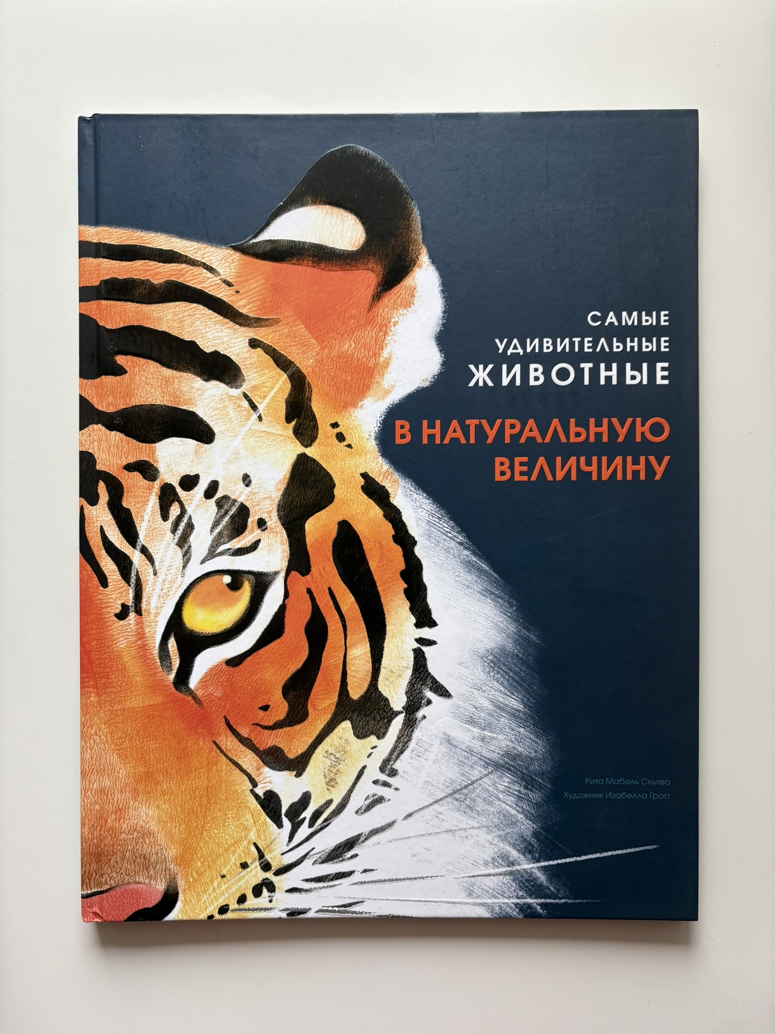 Самые удивительные животные в натуральную величину