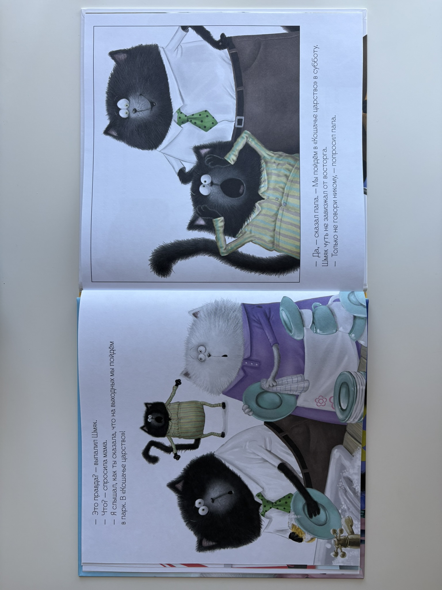 Котенок Шмяк. Шмяк и большой секрет