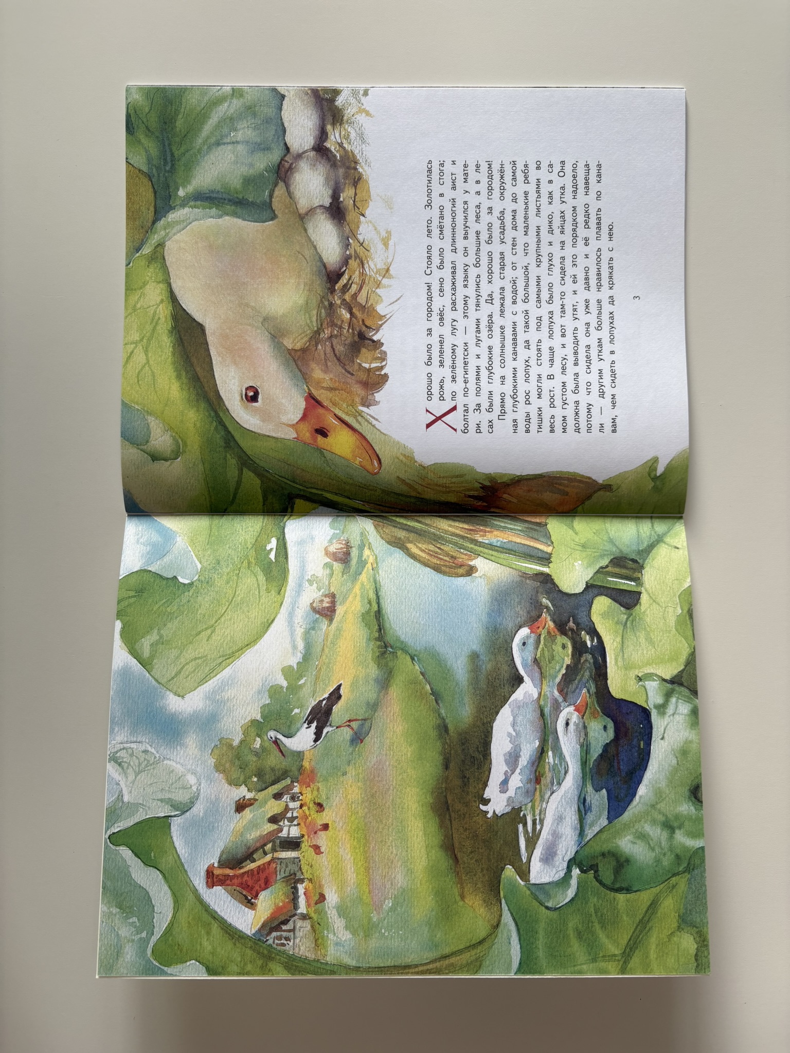 Гадкий утенок