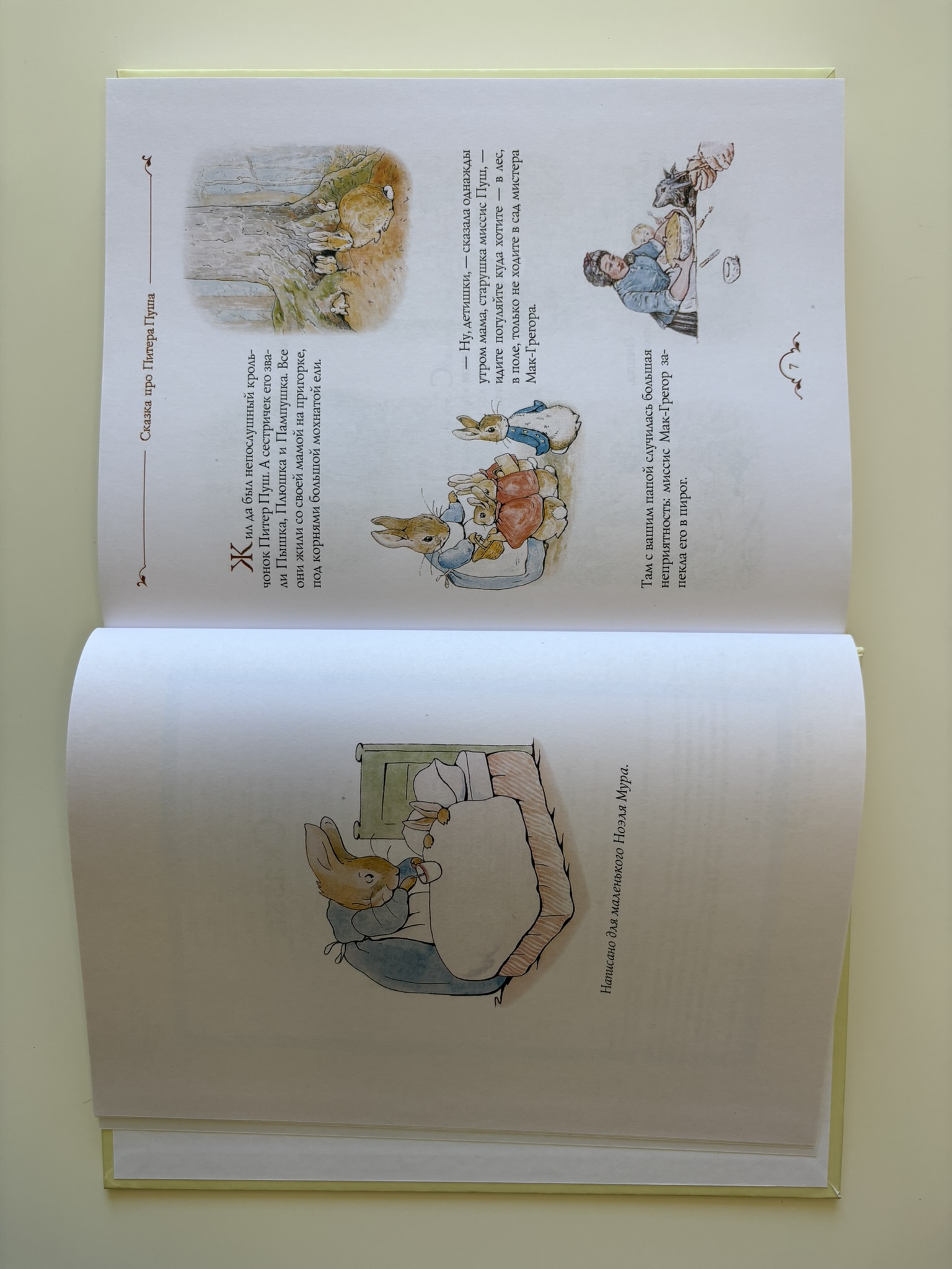 Все о кролике Питере