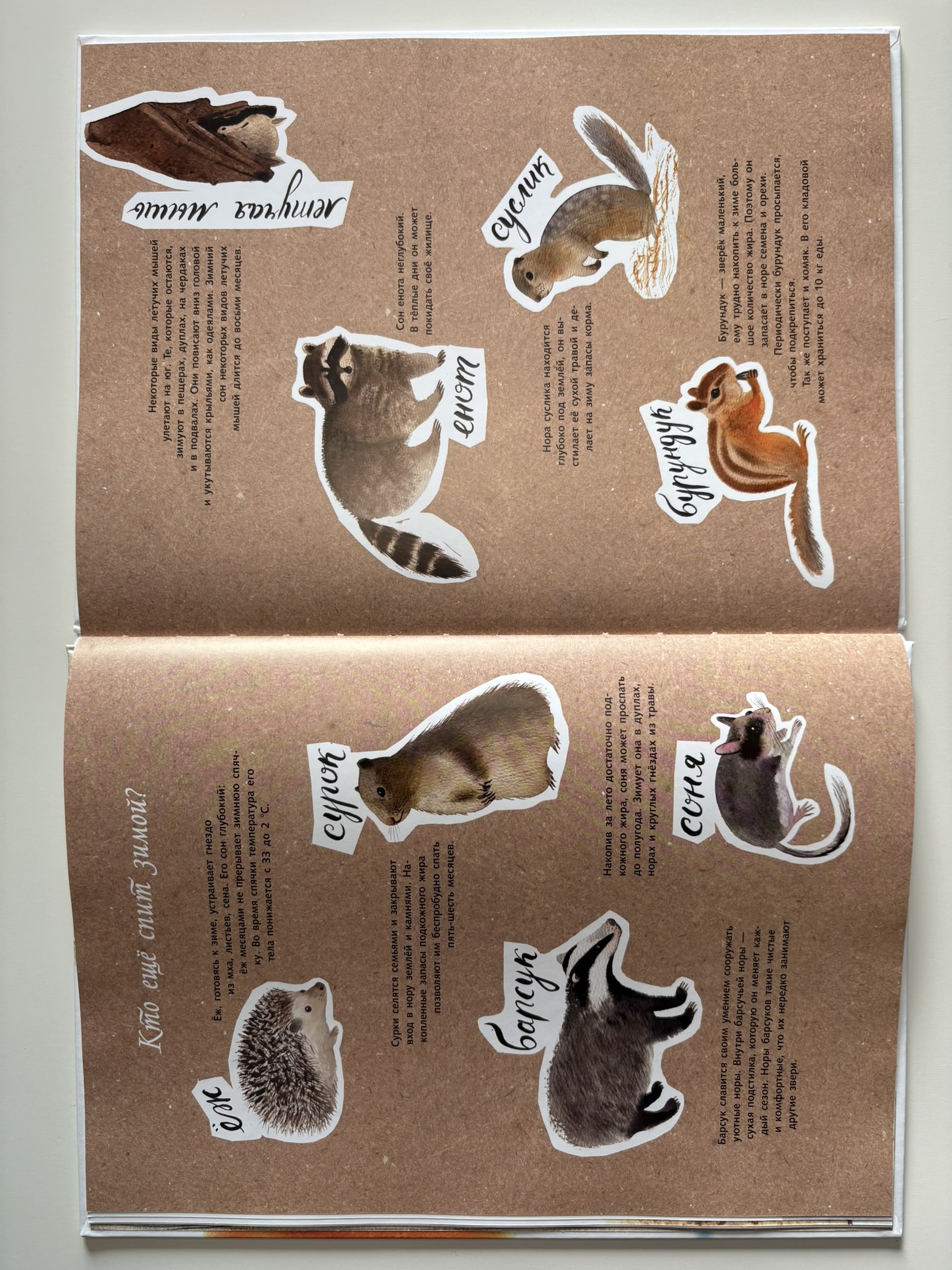 Здравствуй, зима!