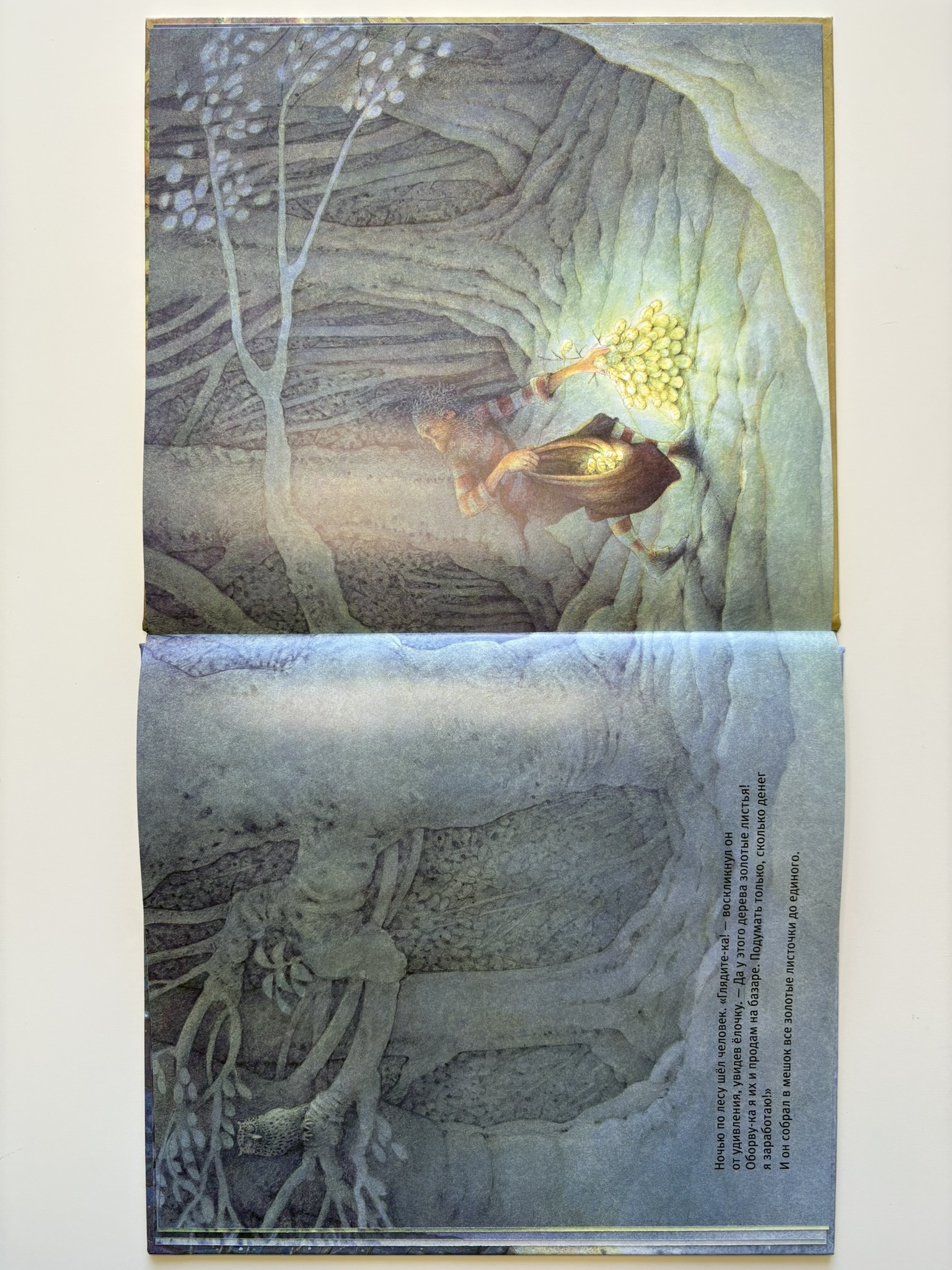 Маленькая ёлочка