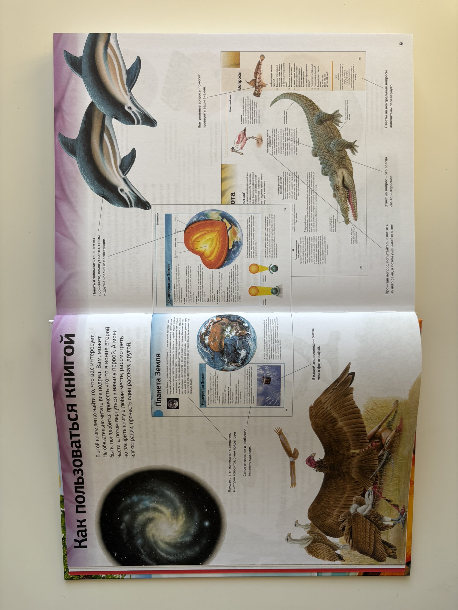 Гигантская энциклопедия школьника