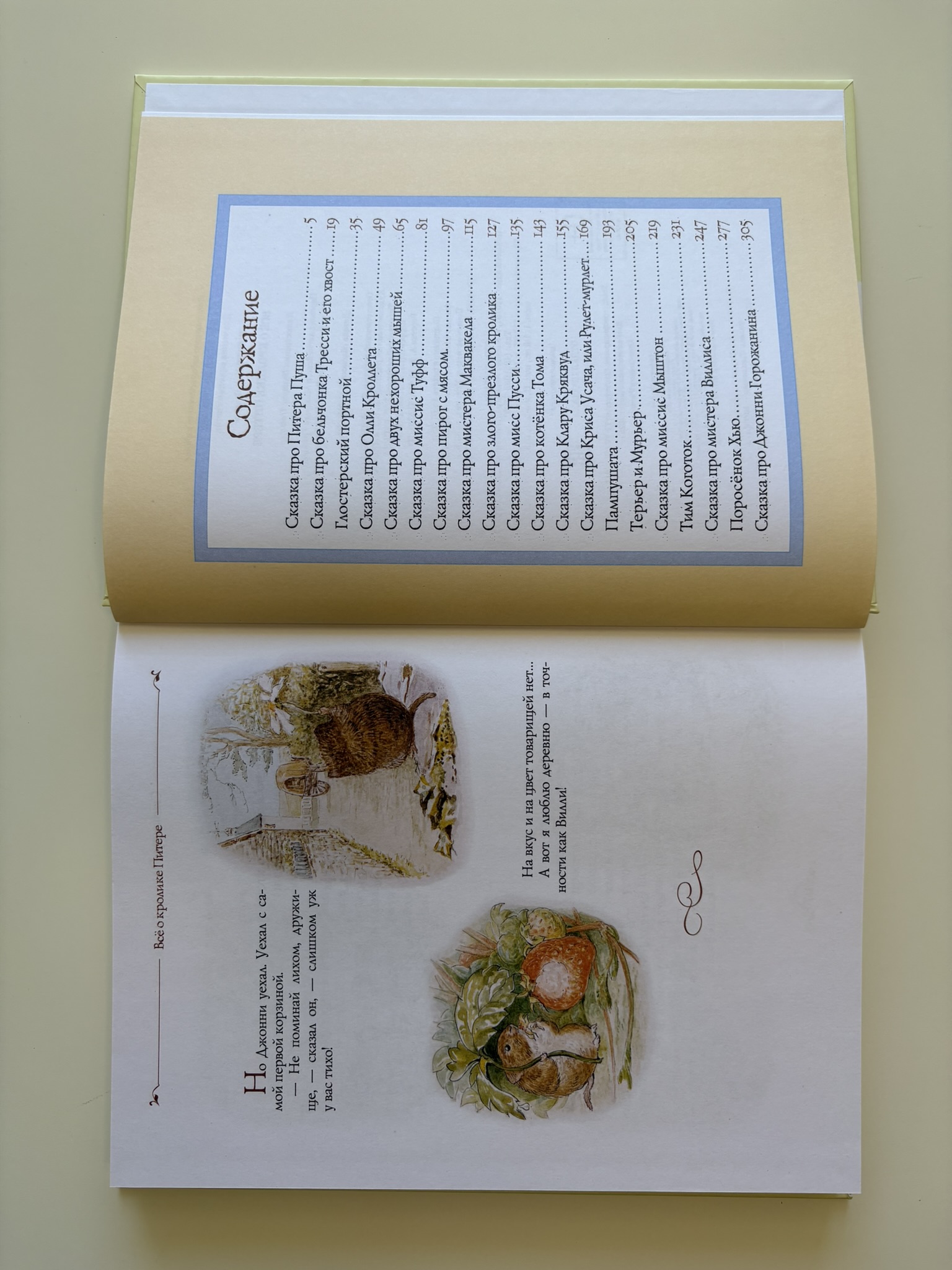 Все о кролике Питере