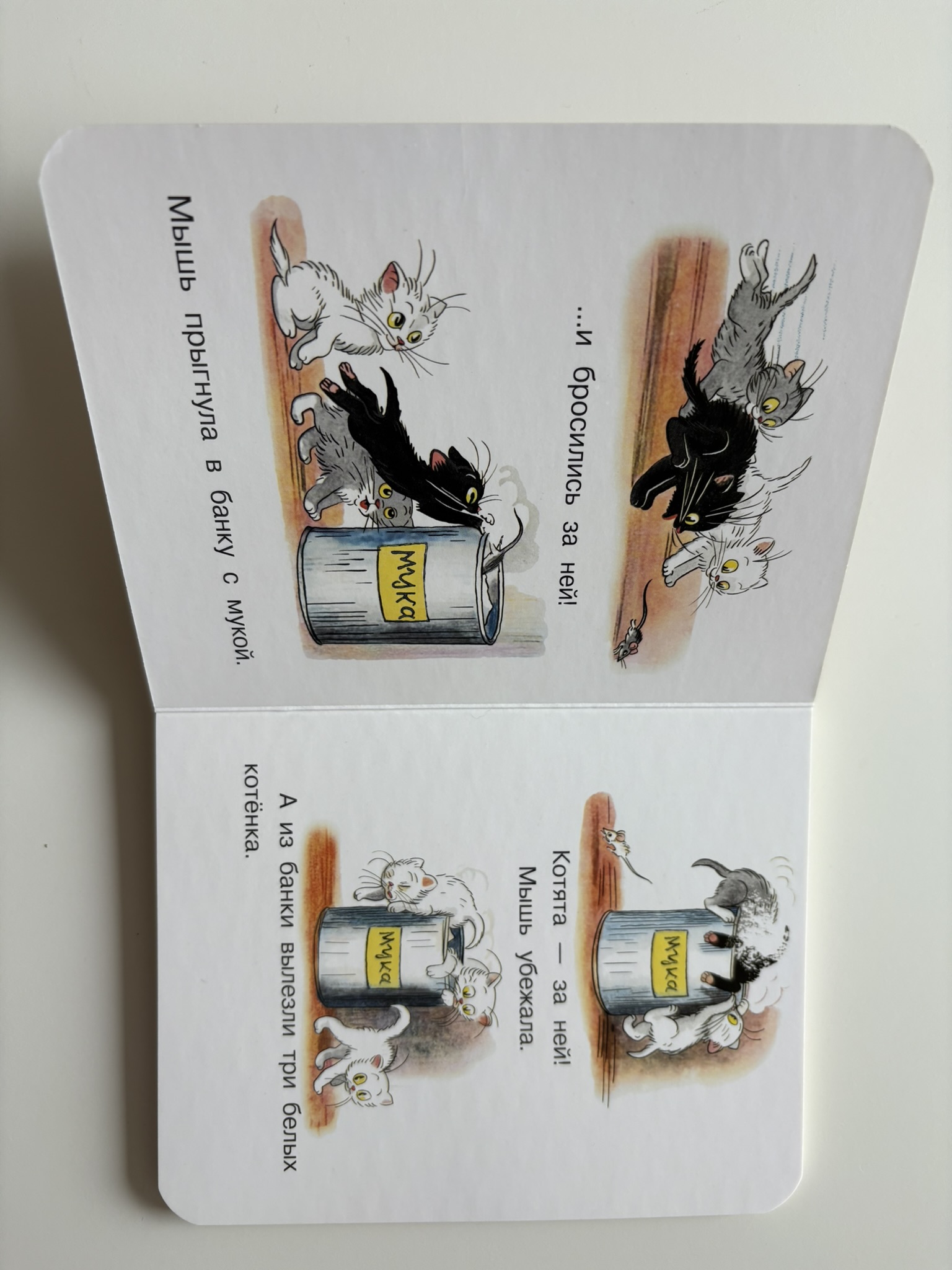 Три котенка