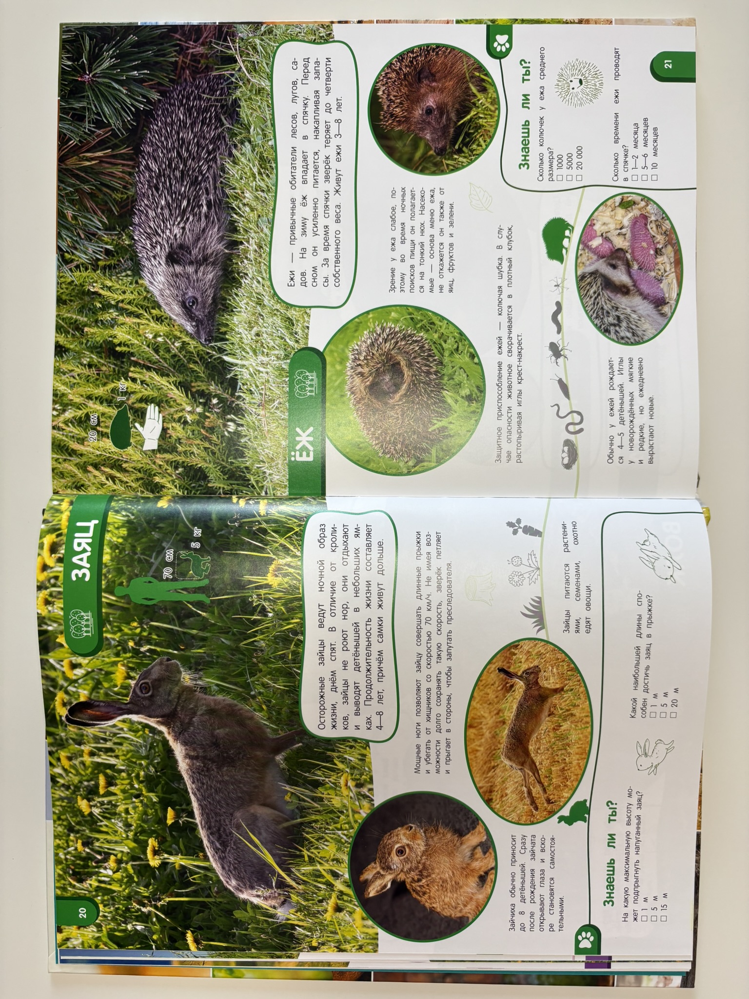 Удивительный мир животных. Энциклопедия для детей