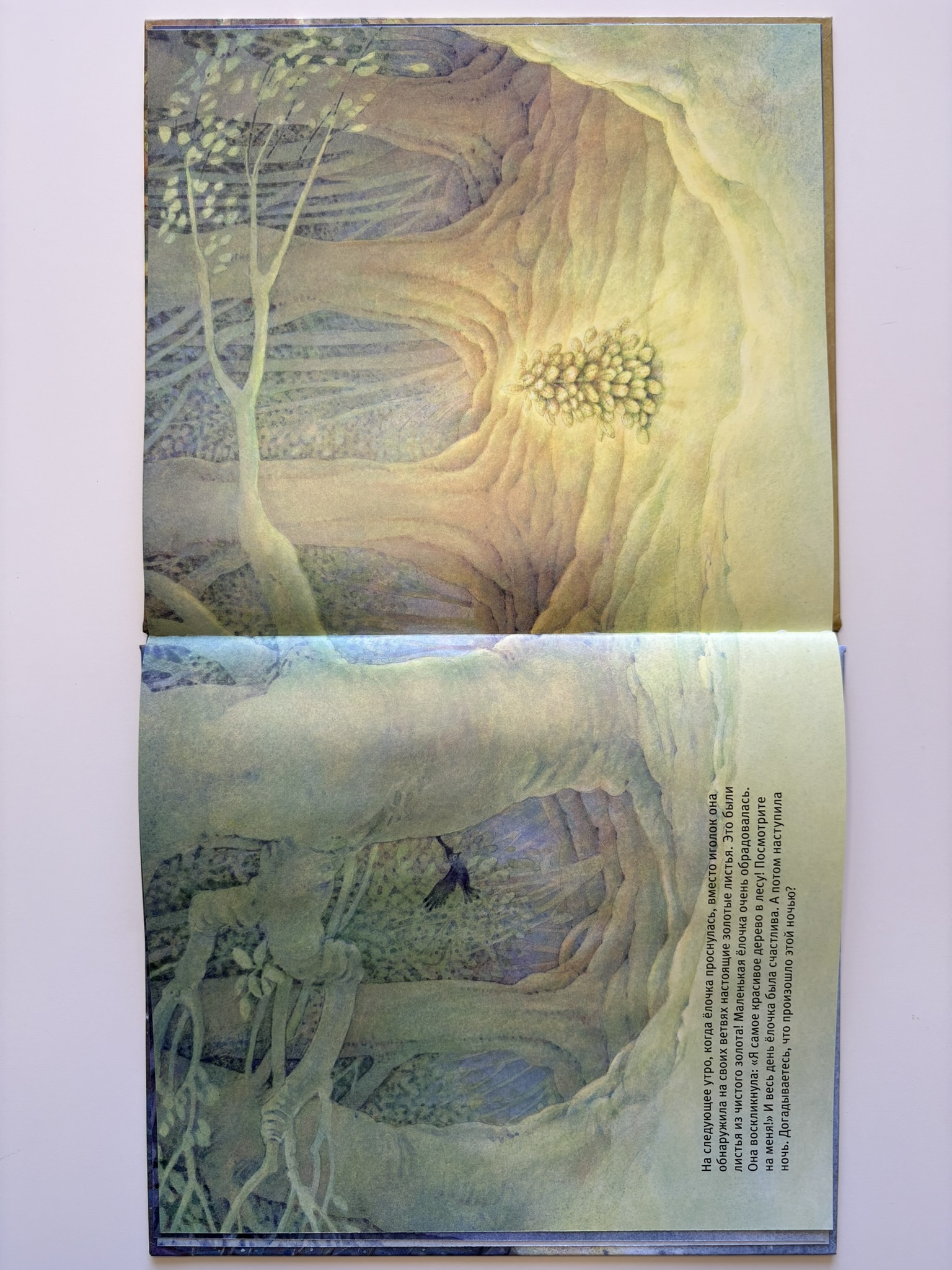 Маленькая ёлочка