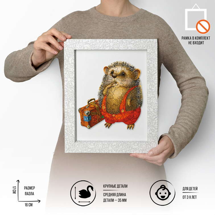 Ежик-путешественник