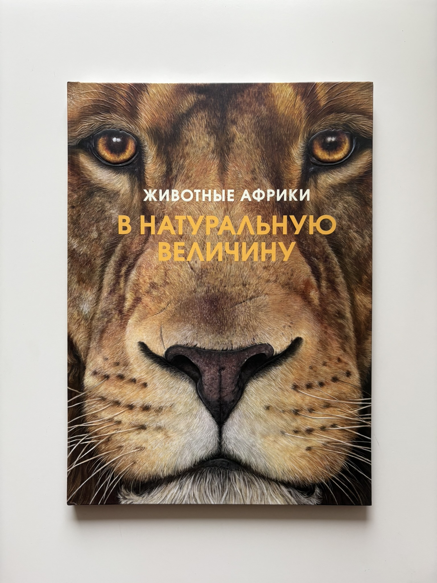 Животные Африки в натуральную величину