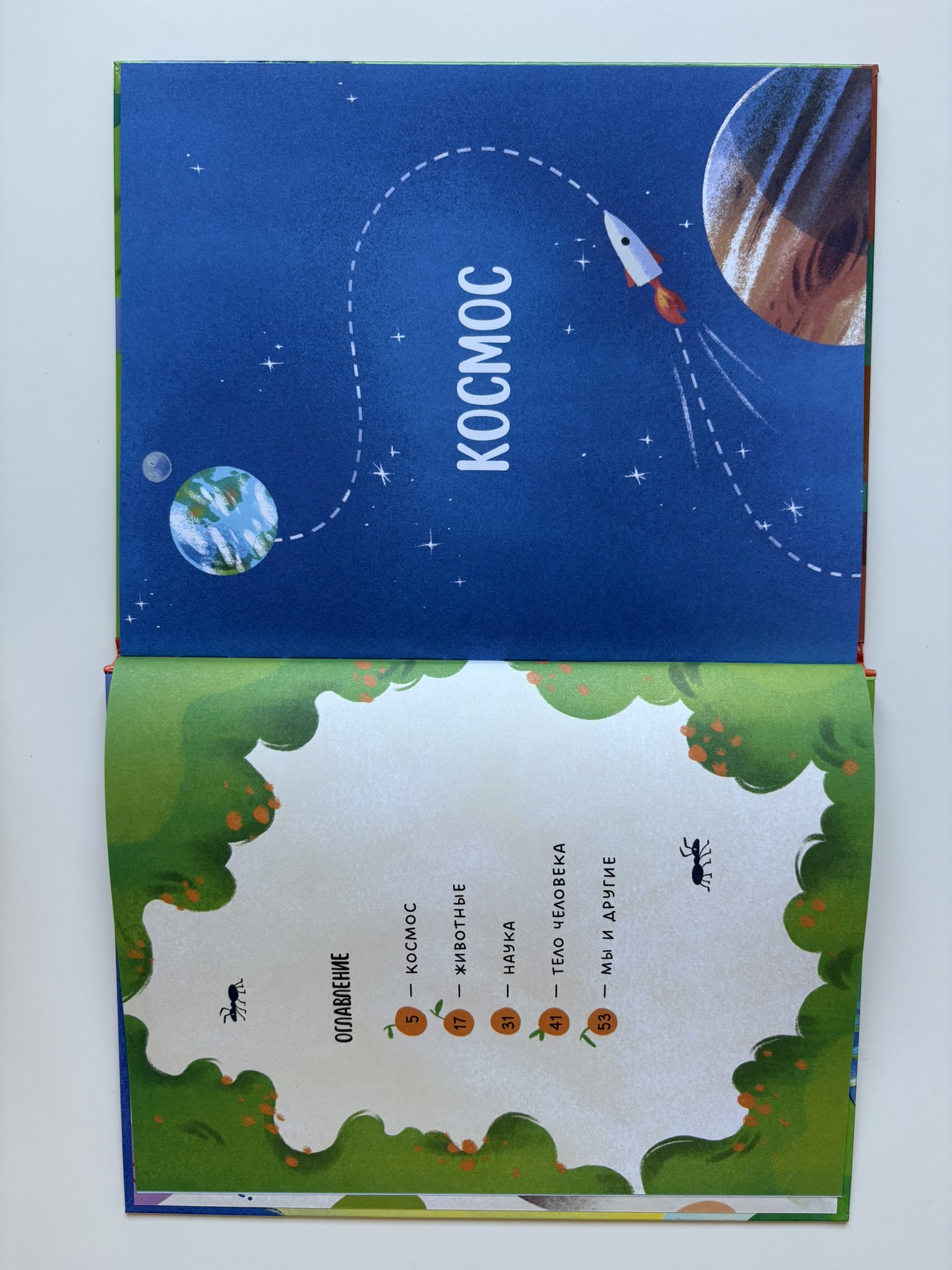 Большая книга "Почему?"