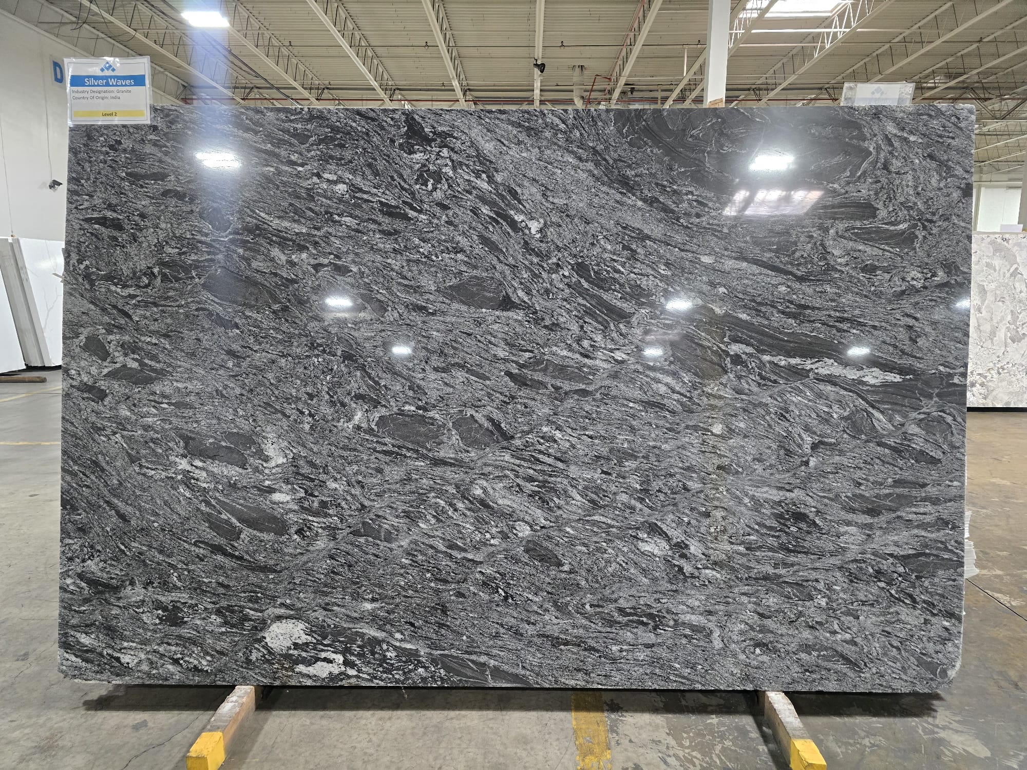 SILVER WAVES
