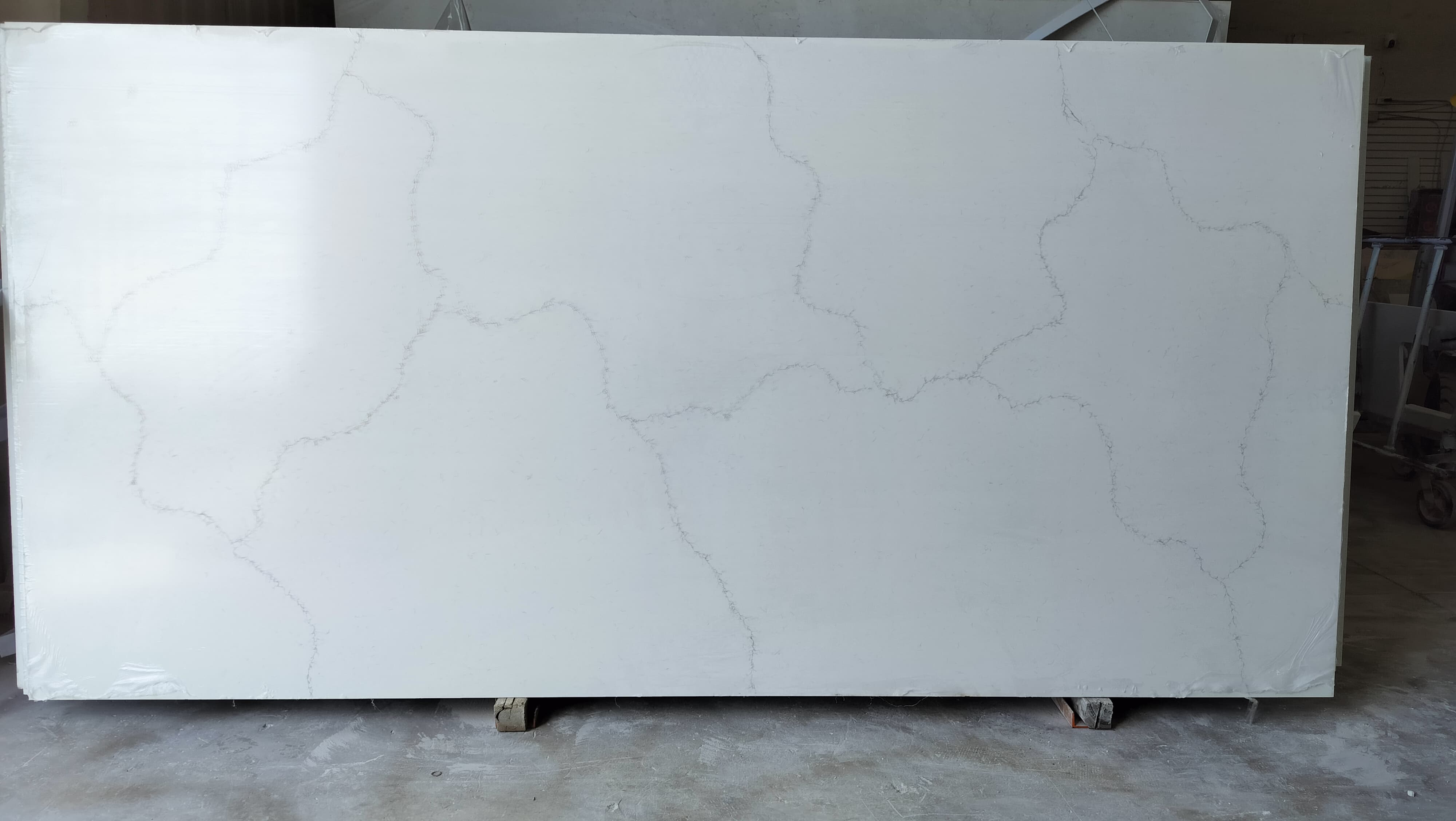 CALACATTA ENIGMA