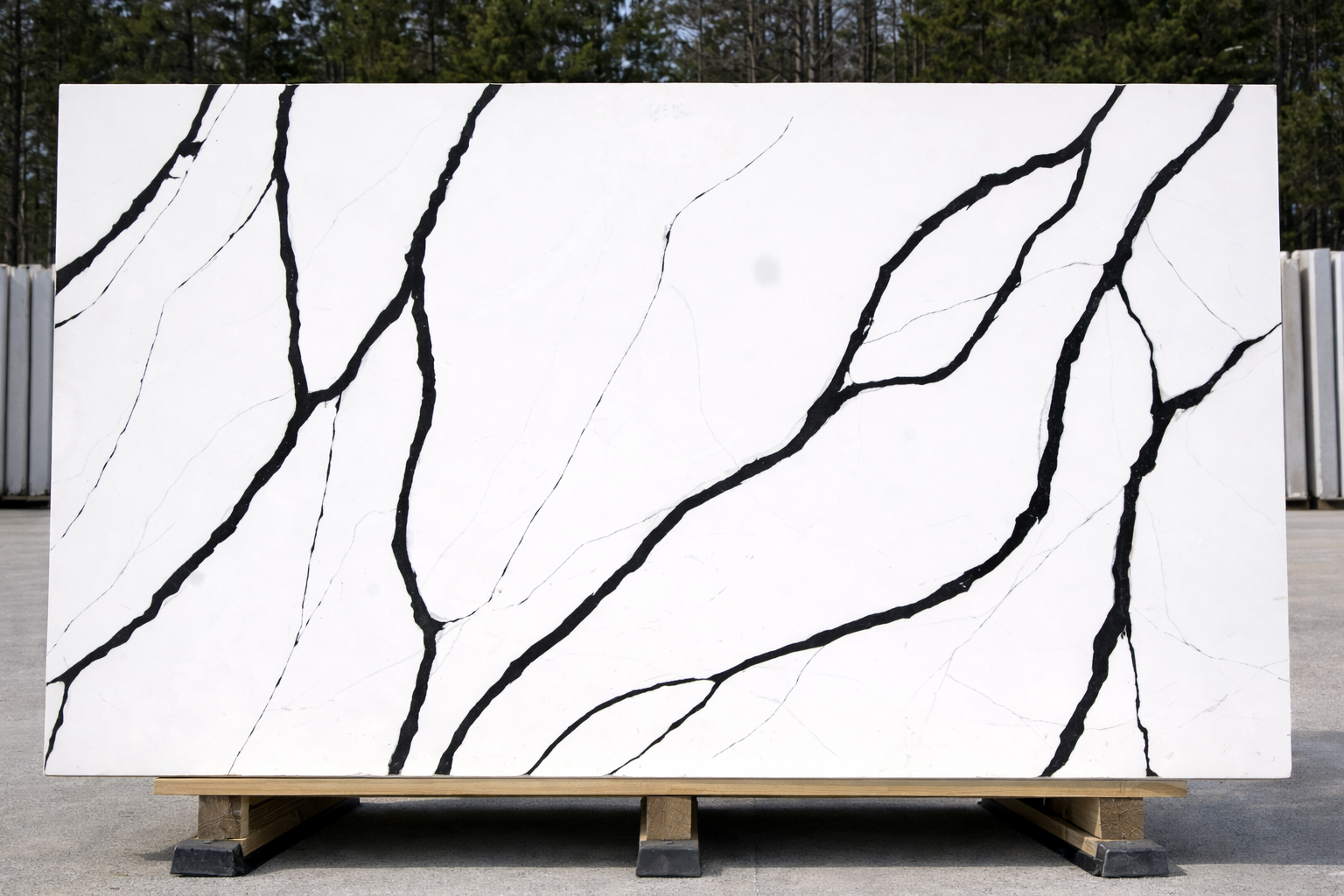 CALACATTA THUNDER BLACK