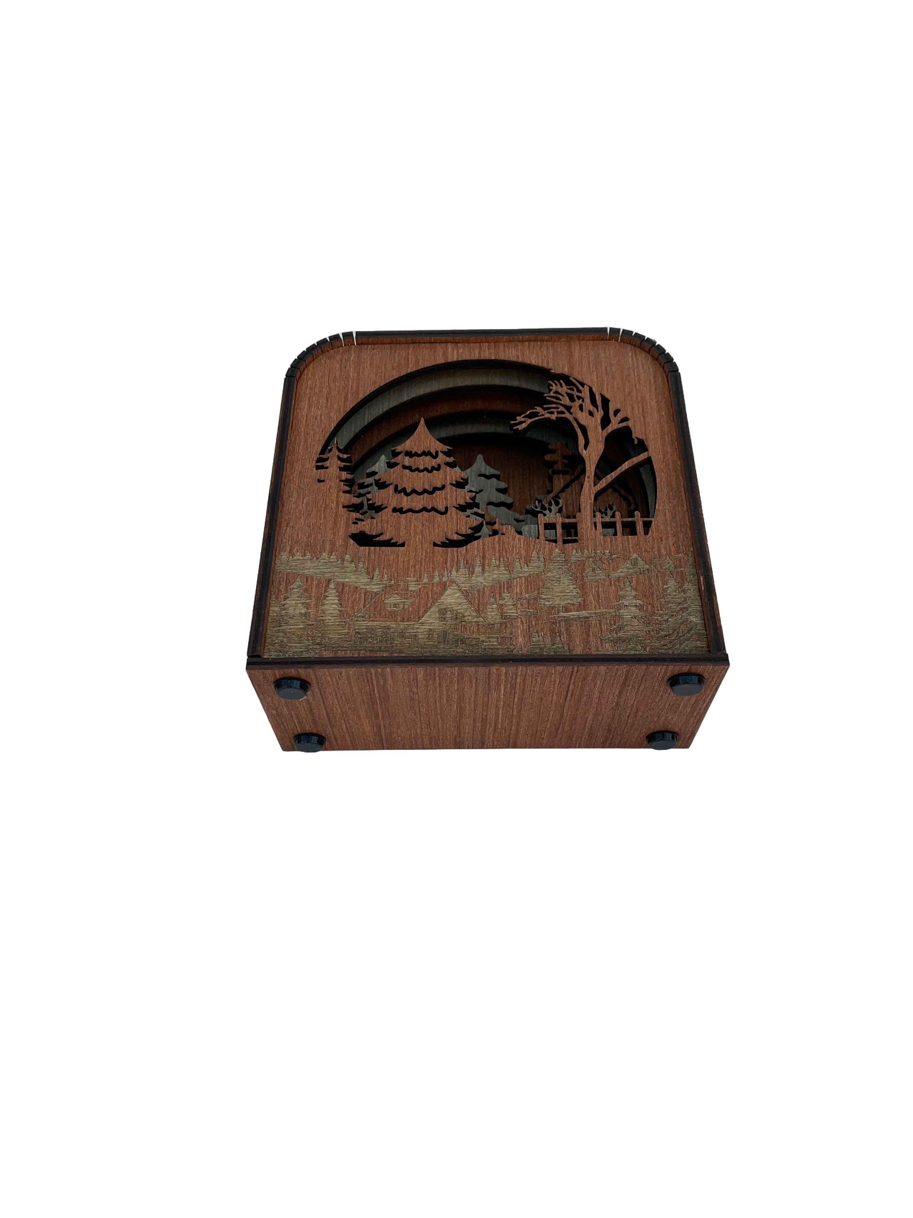 Winter Design Wood Shadow Box - American Walnut