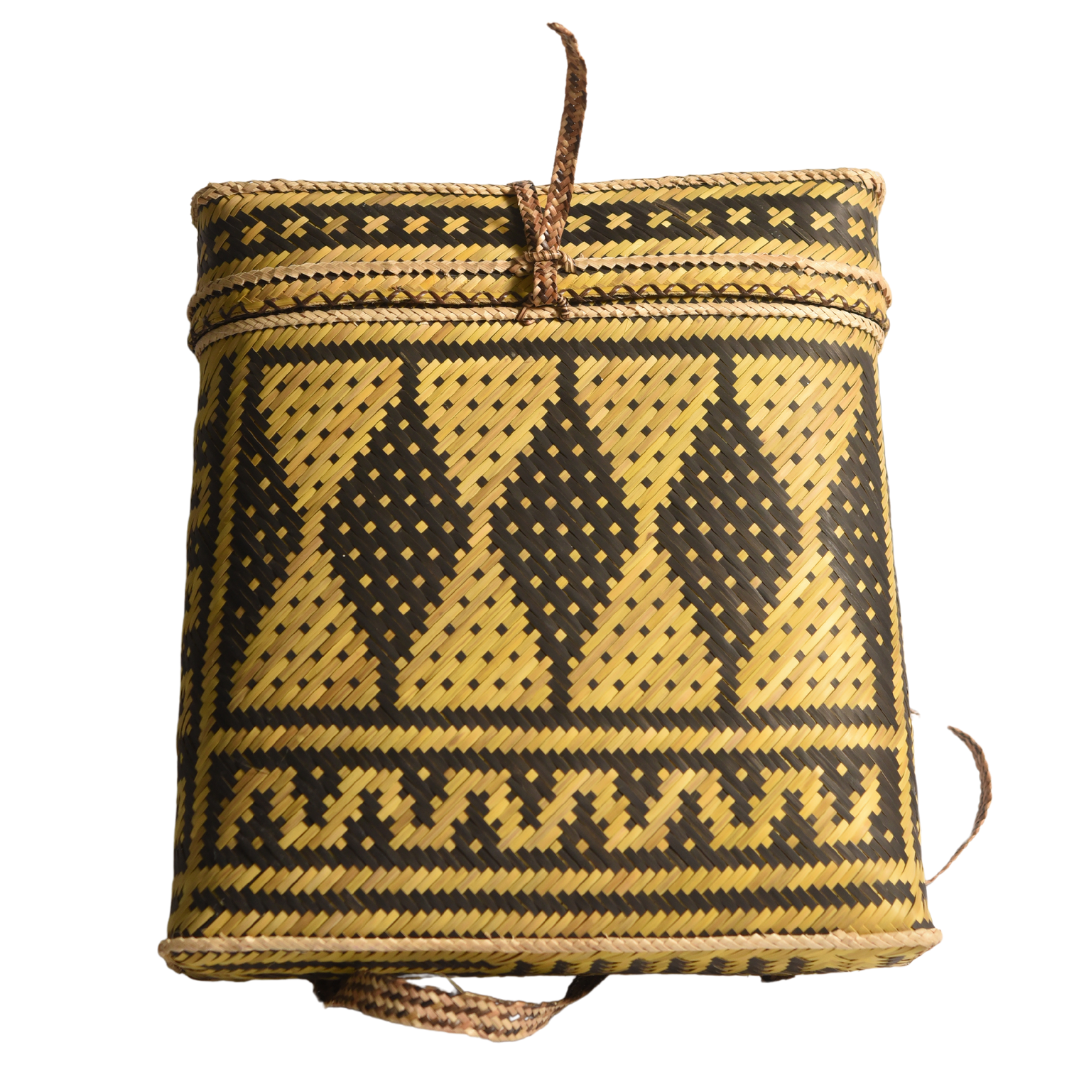 Backpack (Bukag Timon Black & Yellow Design)
