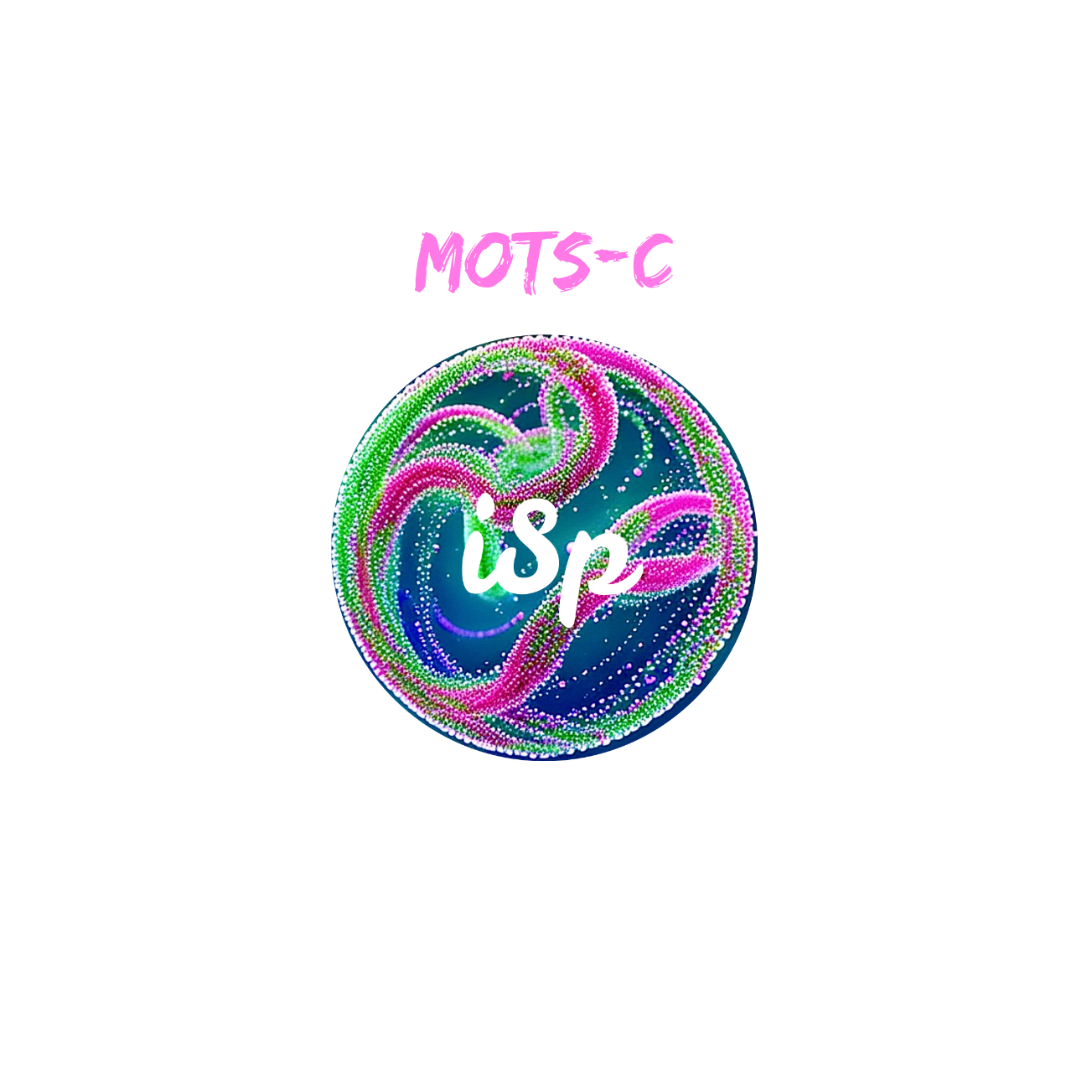 MOTS-C