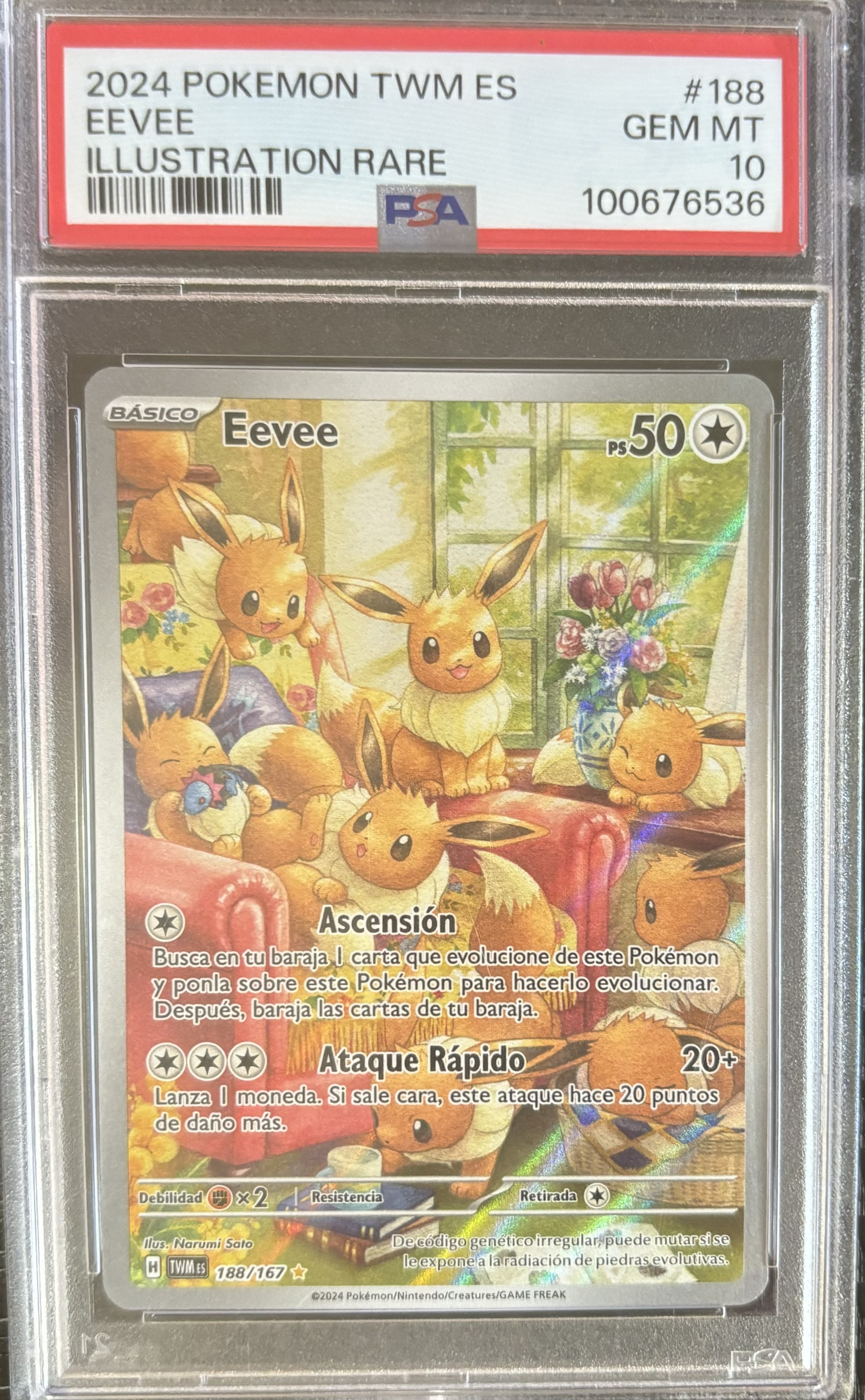 Carta Pokémon Eevee 2024 Ilustración Rara