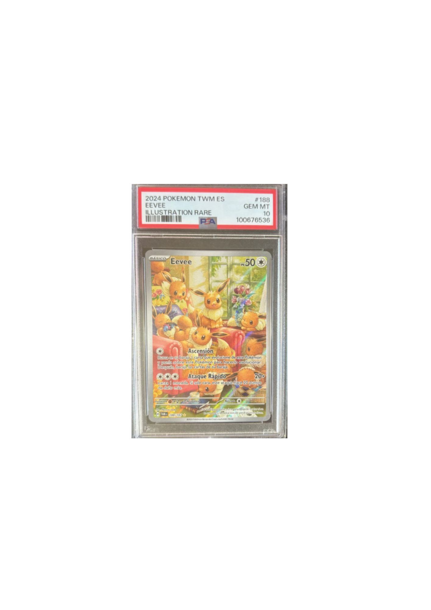 Carta Pokémon Eevee 2024 Ilustración Rara